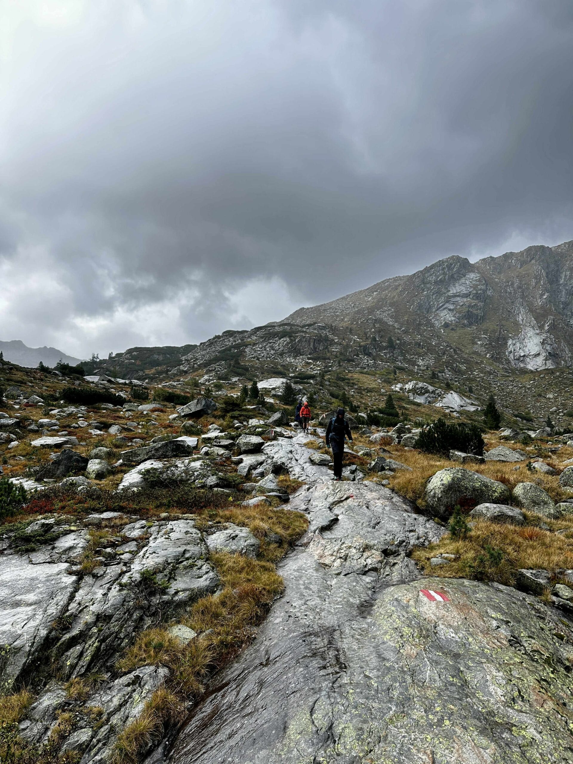 Austrijos Alpės | Zillertalio slėnis
