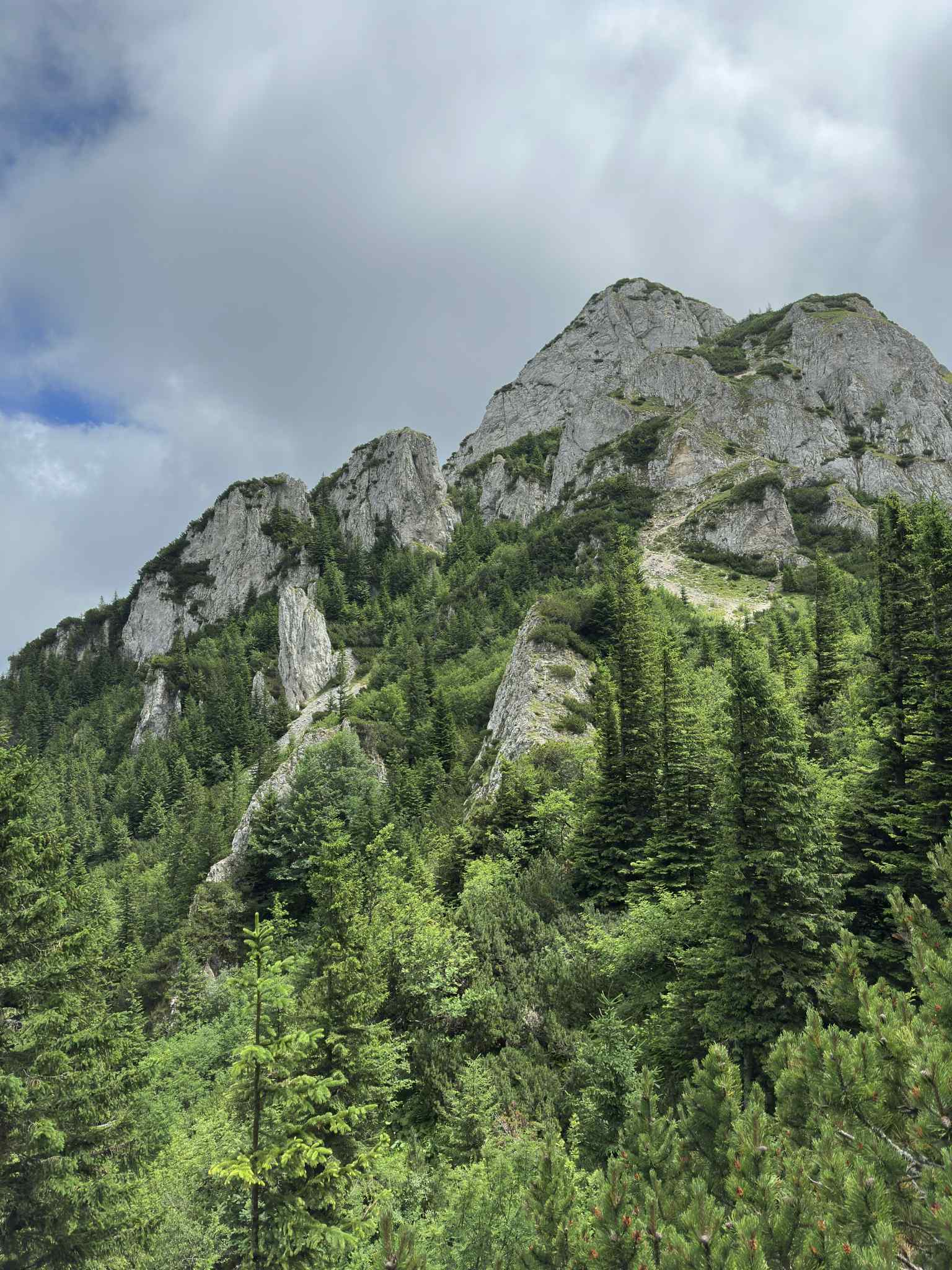 Rumunija | žygis Karpatuose