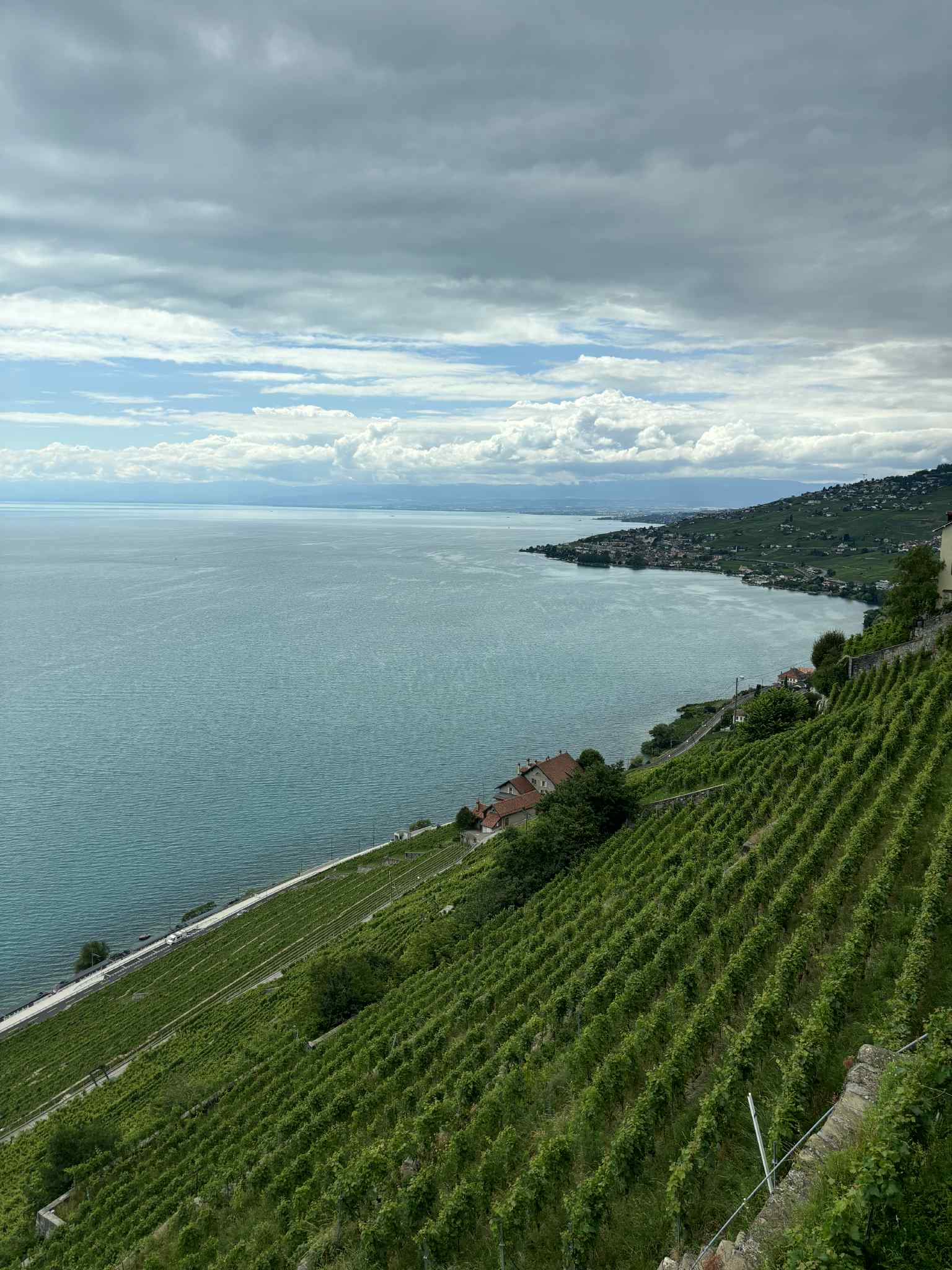 Alpės | Šveicarija ir Prancūzija