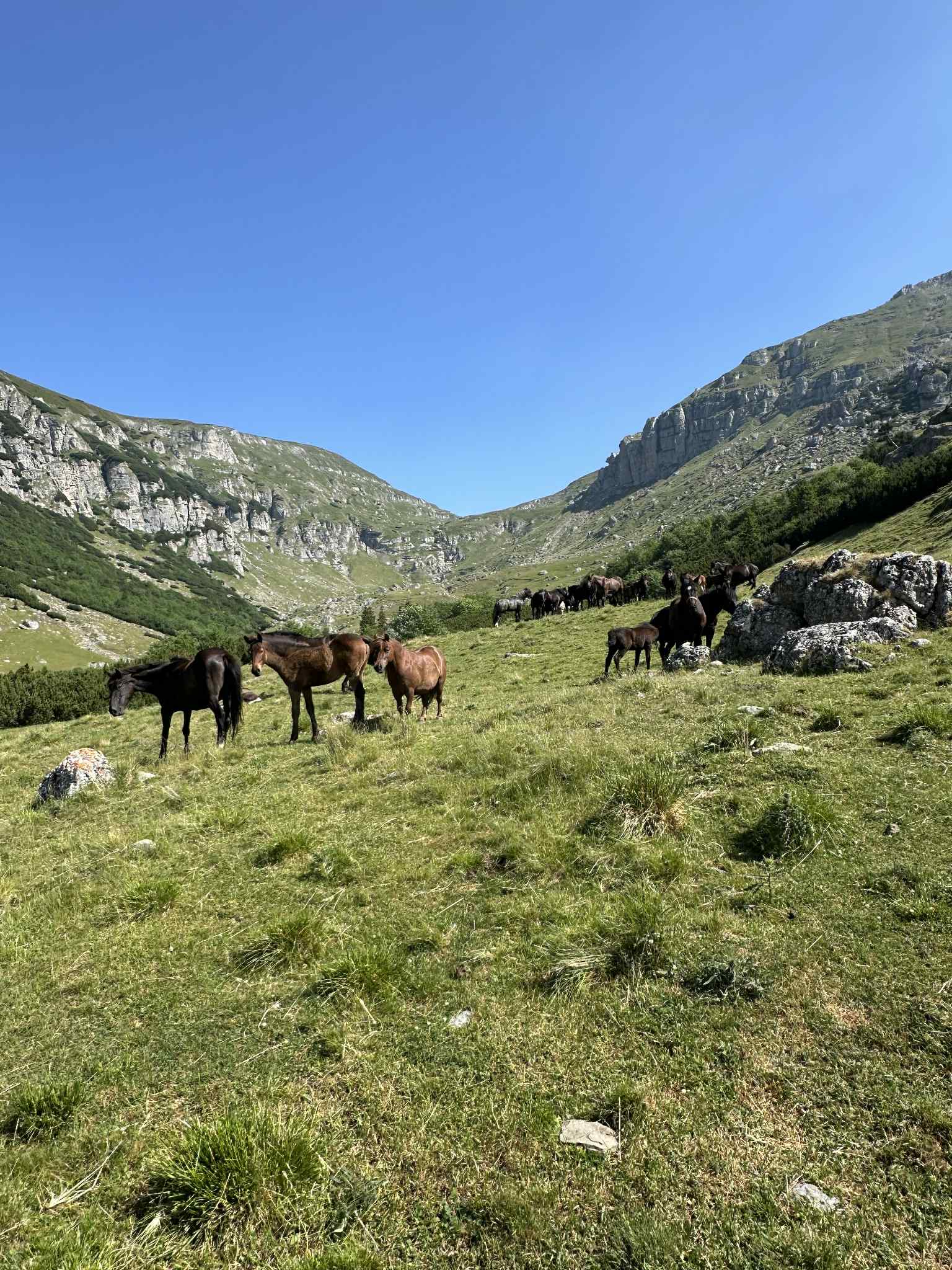 Rumunija | žygis Karpatuose