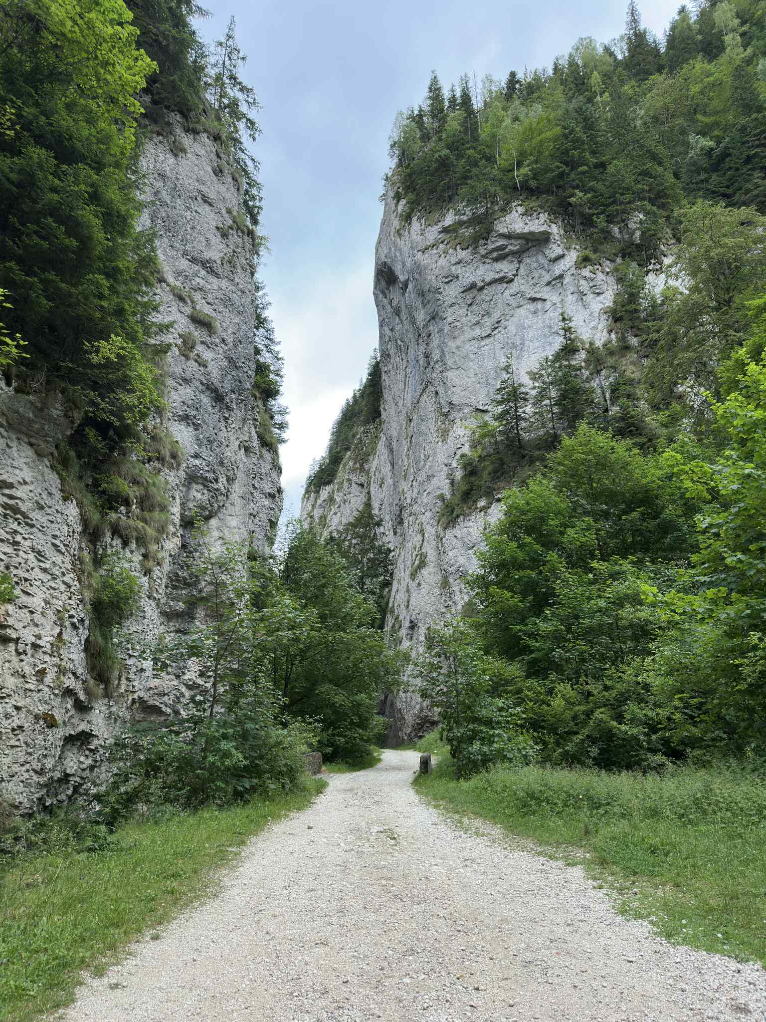 Rumunija | žygis Karpatuose