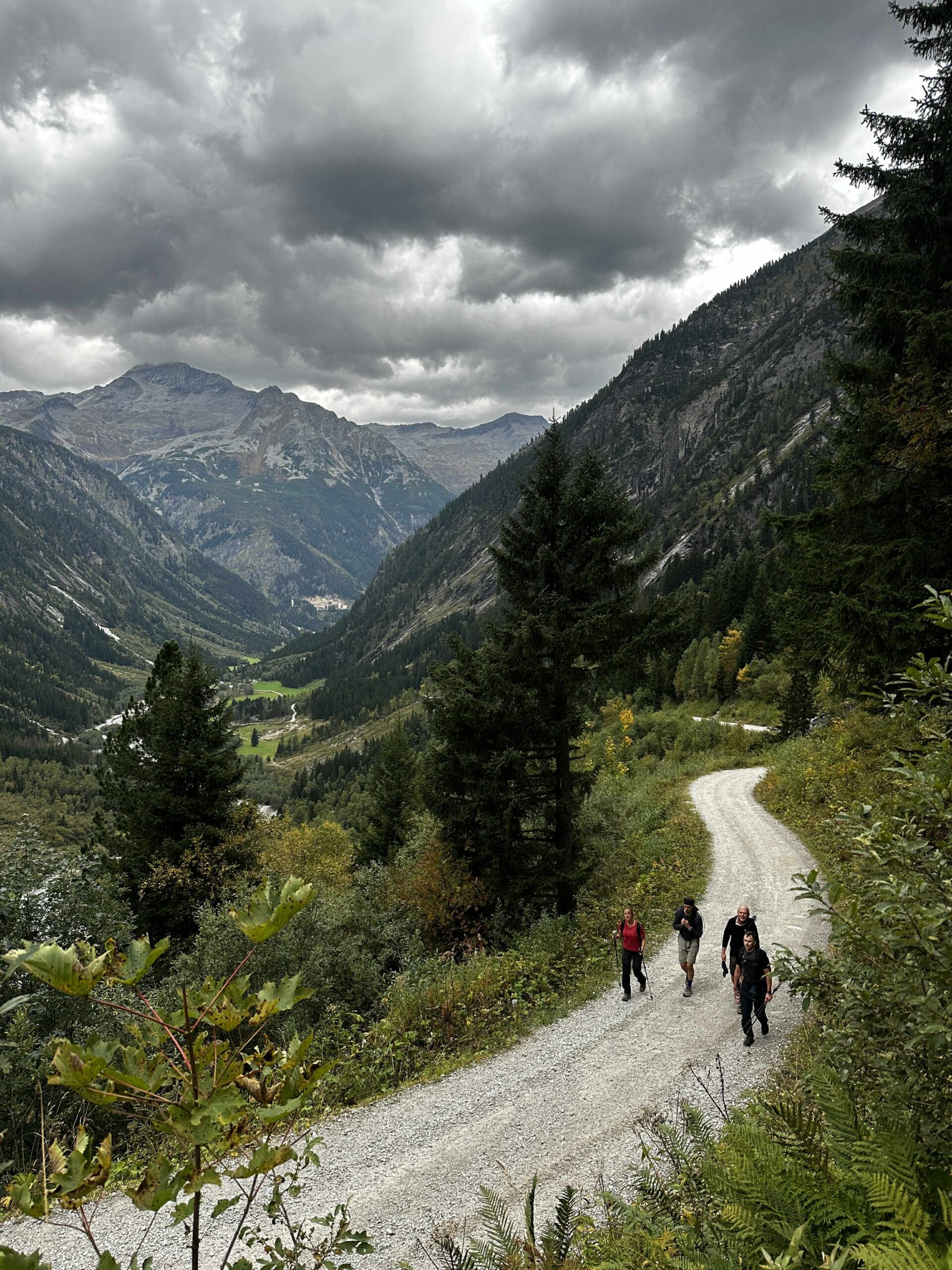 Austrijos Alpės | Zillertalio slėnis