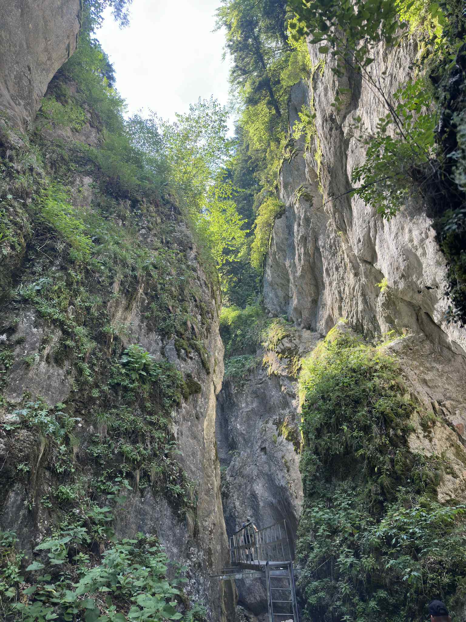 Rumunija | žygis Karpatuose