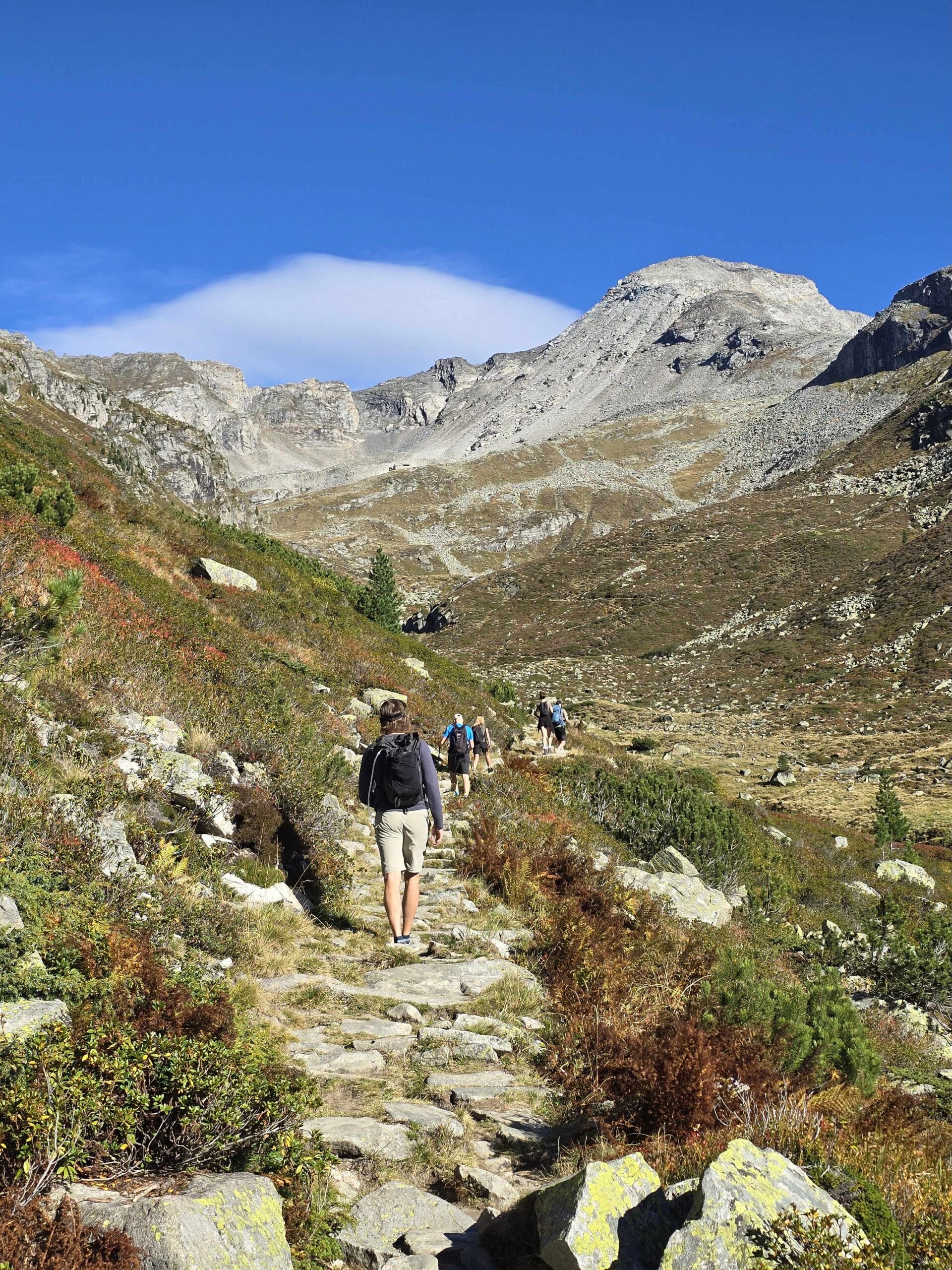 Austrijos Alpės | Zillertalio slėnis