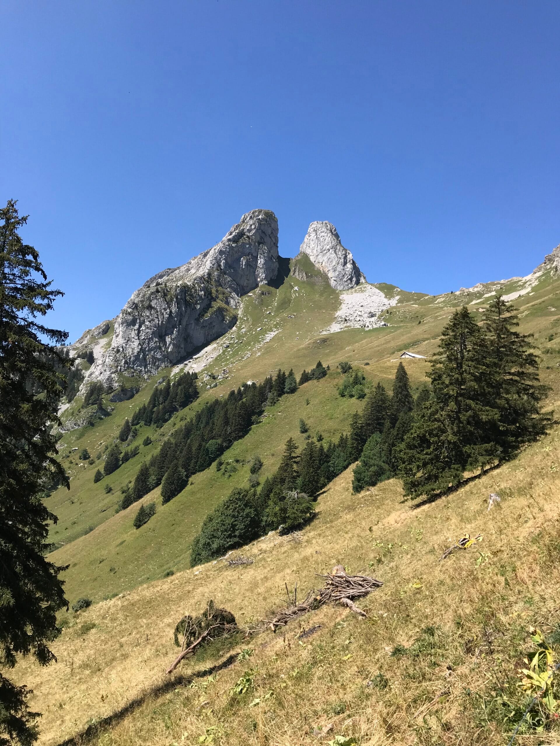 Alpės | Šveicarija ir Prancūzija