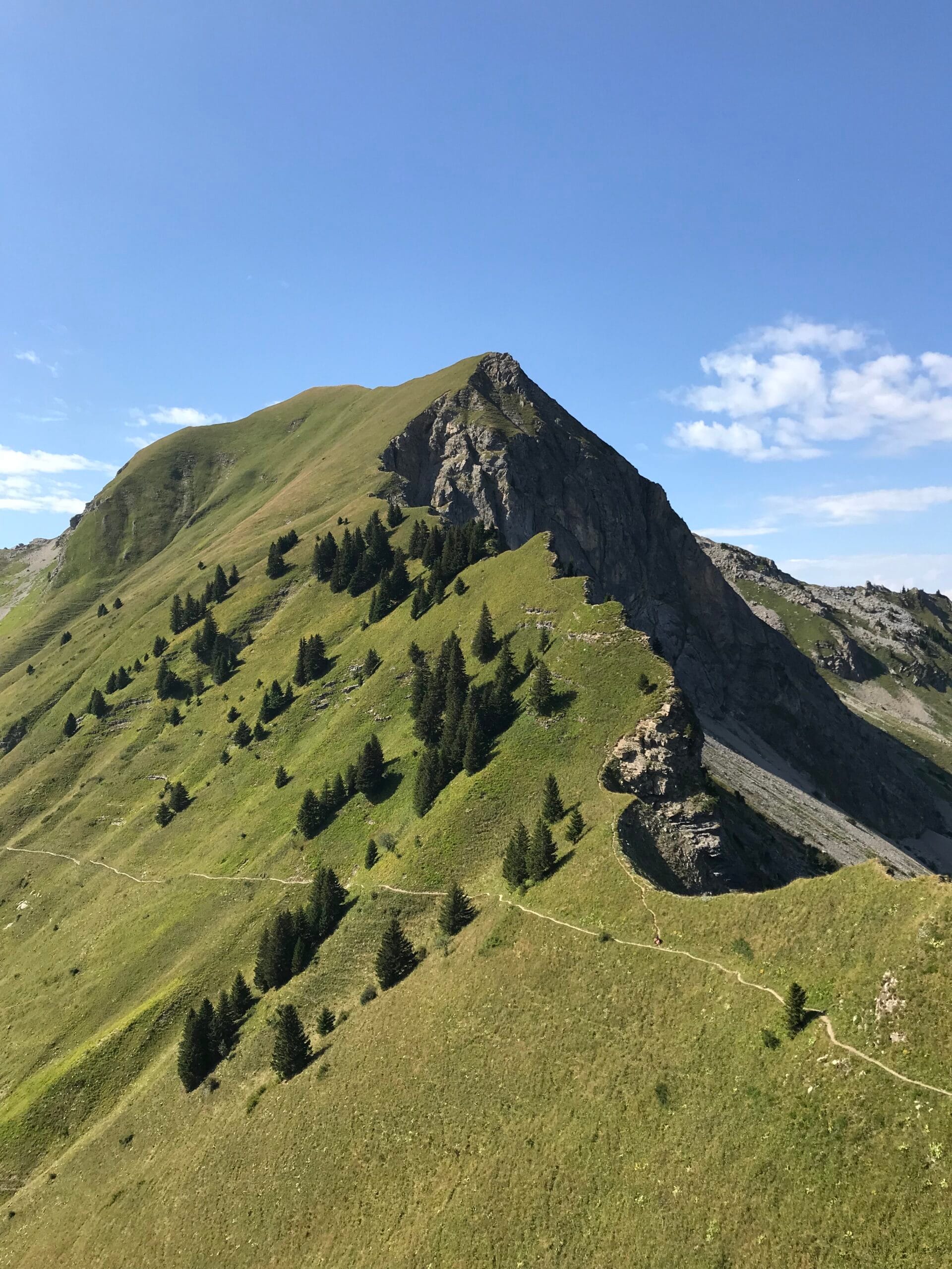 Alpės | Šveicarija ir Prancūzija