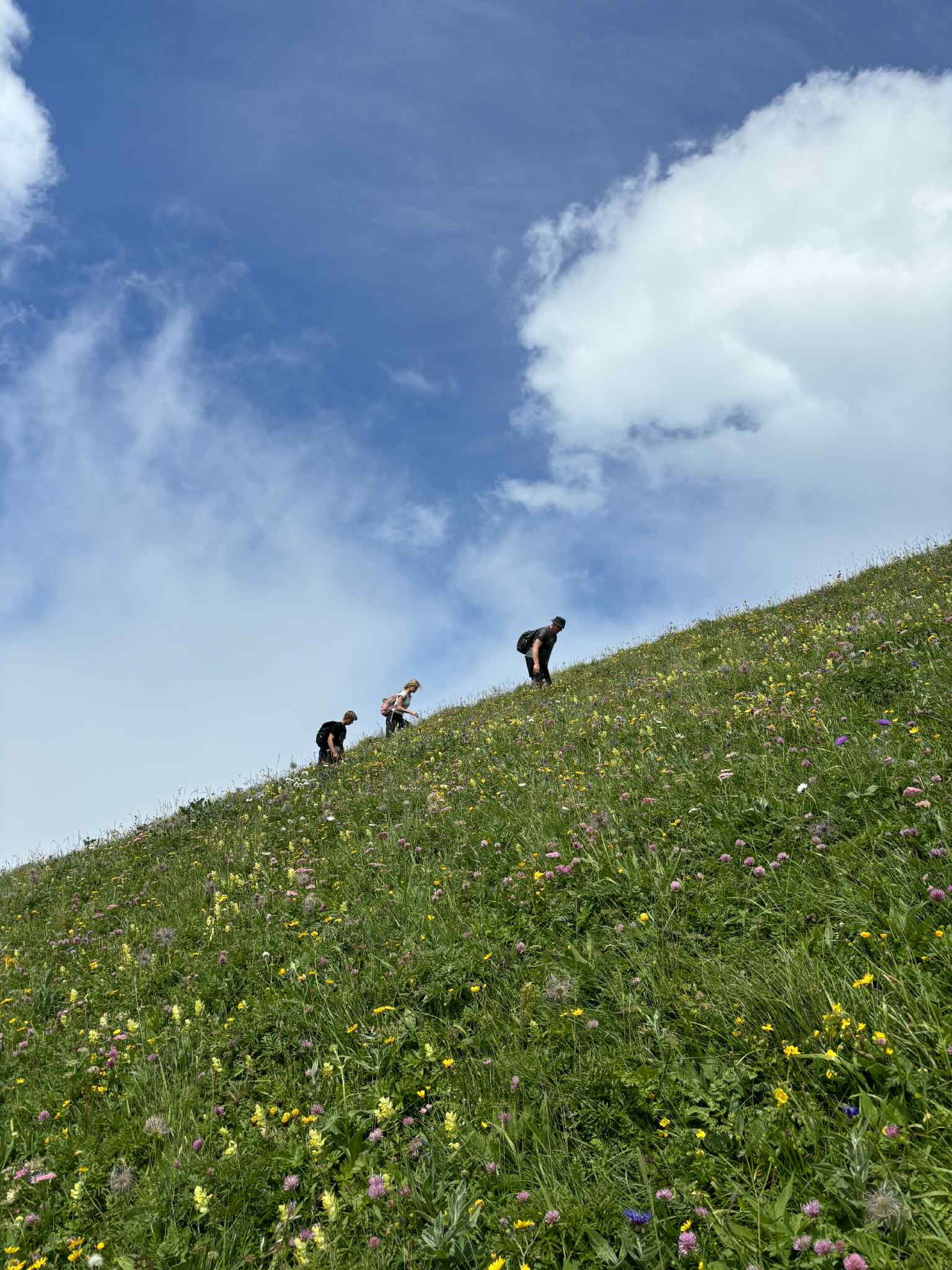 Alpės | Šveicarija ir Prancūzija