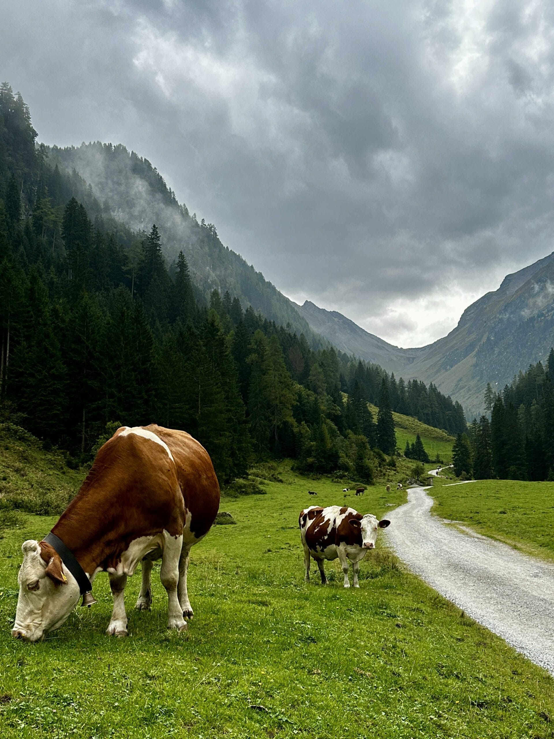 Austrijos Alpės | Zillertalio slėnis