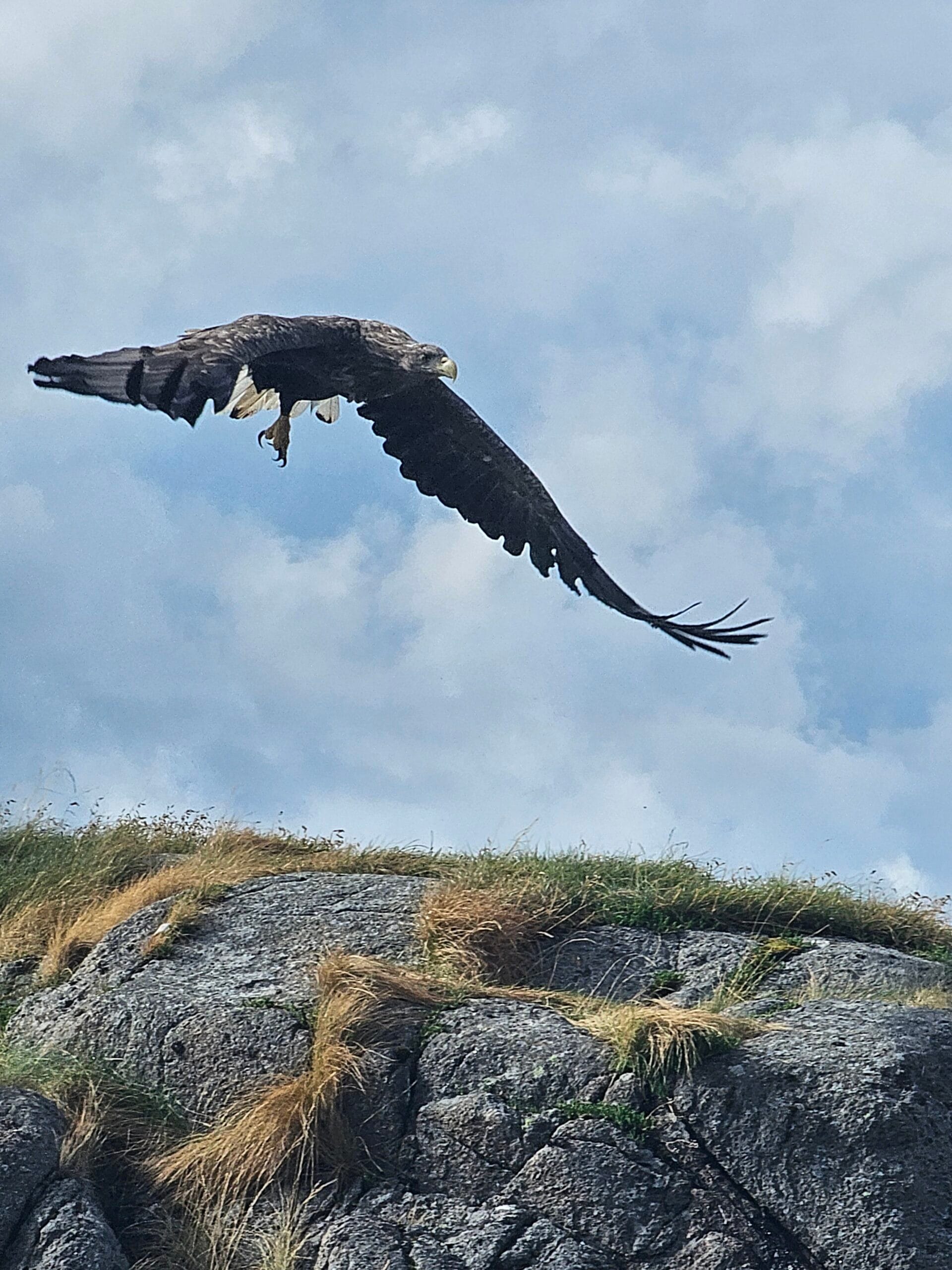 Svajonių žygis Norvegijos Lofotenuose