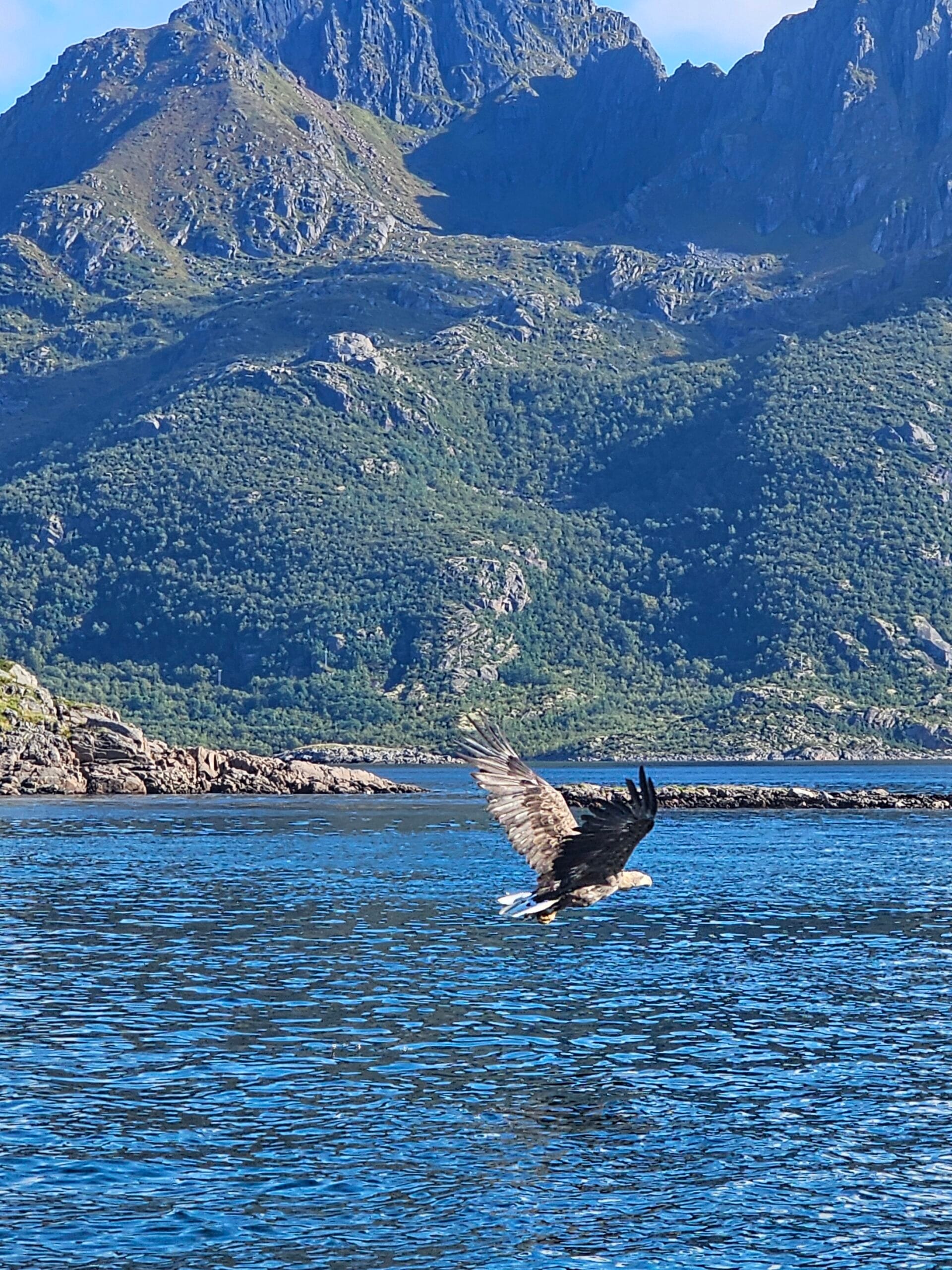 Svajonių žygis Norvegijos Lofotenuose