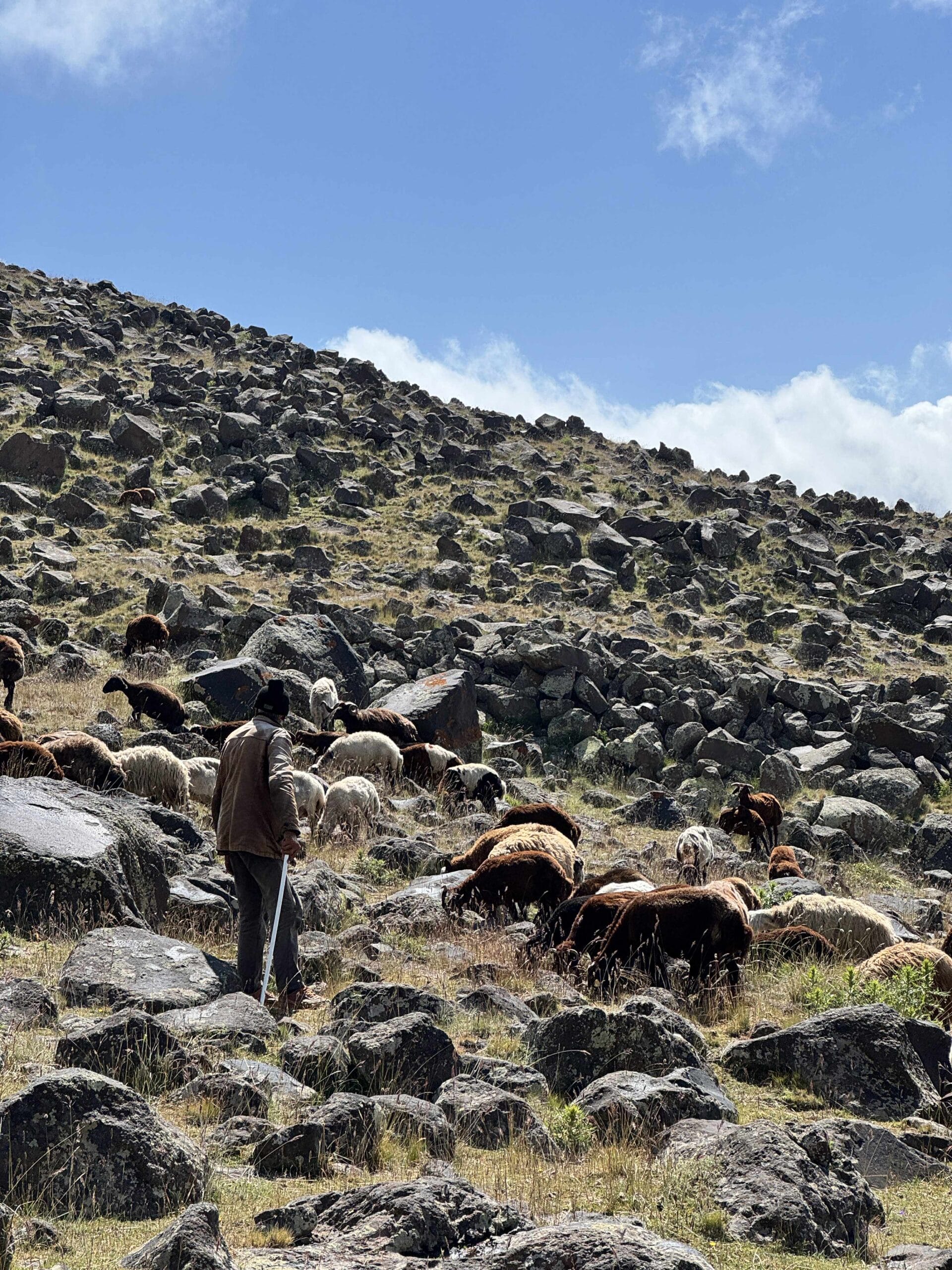 Žygis į Ararato viršūnę