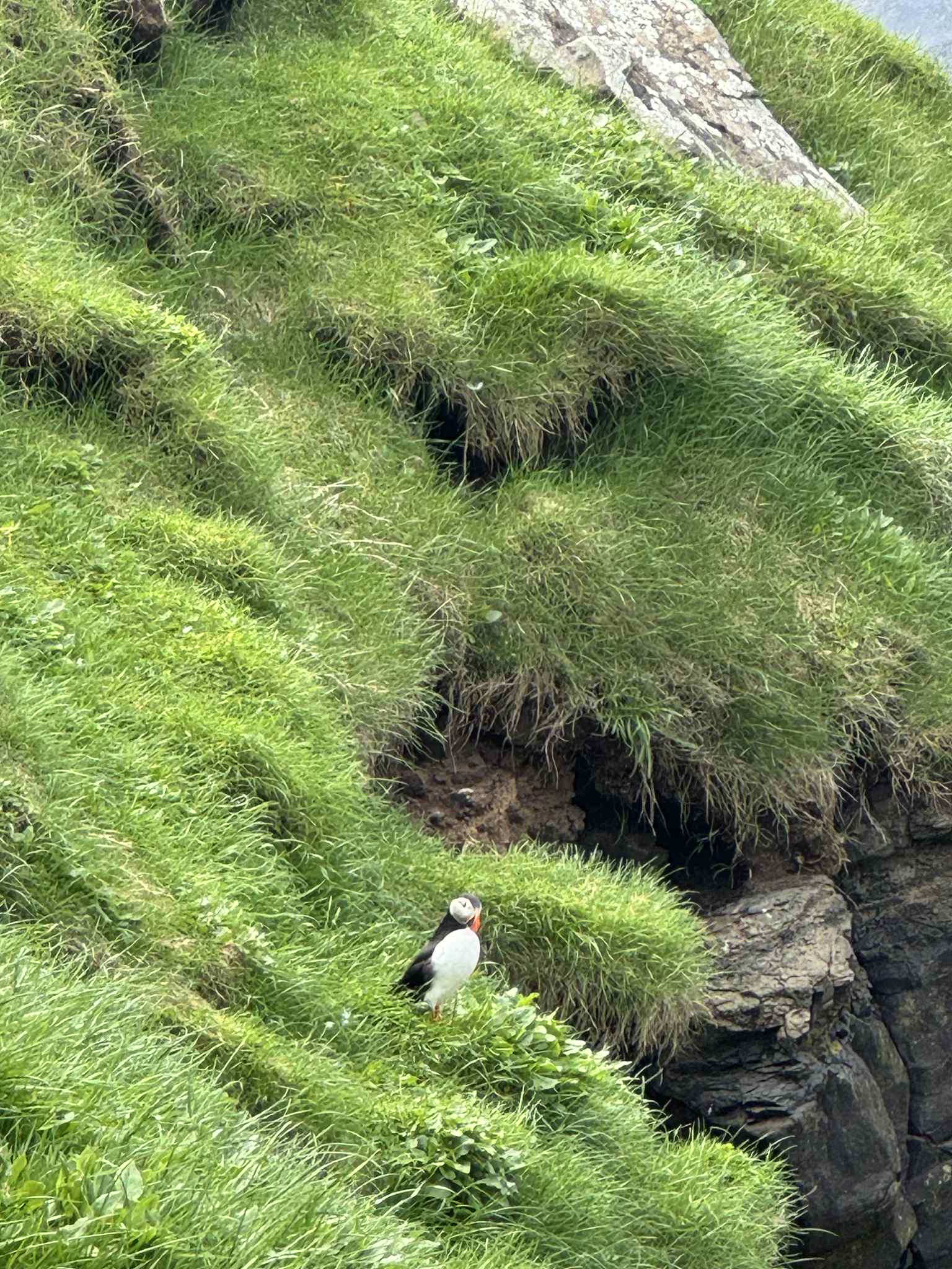 Farerų salos | žygeivių rojus