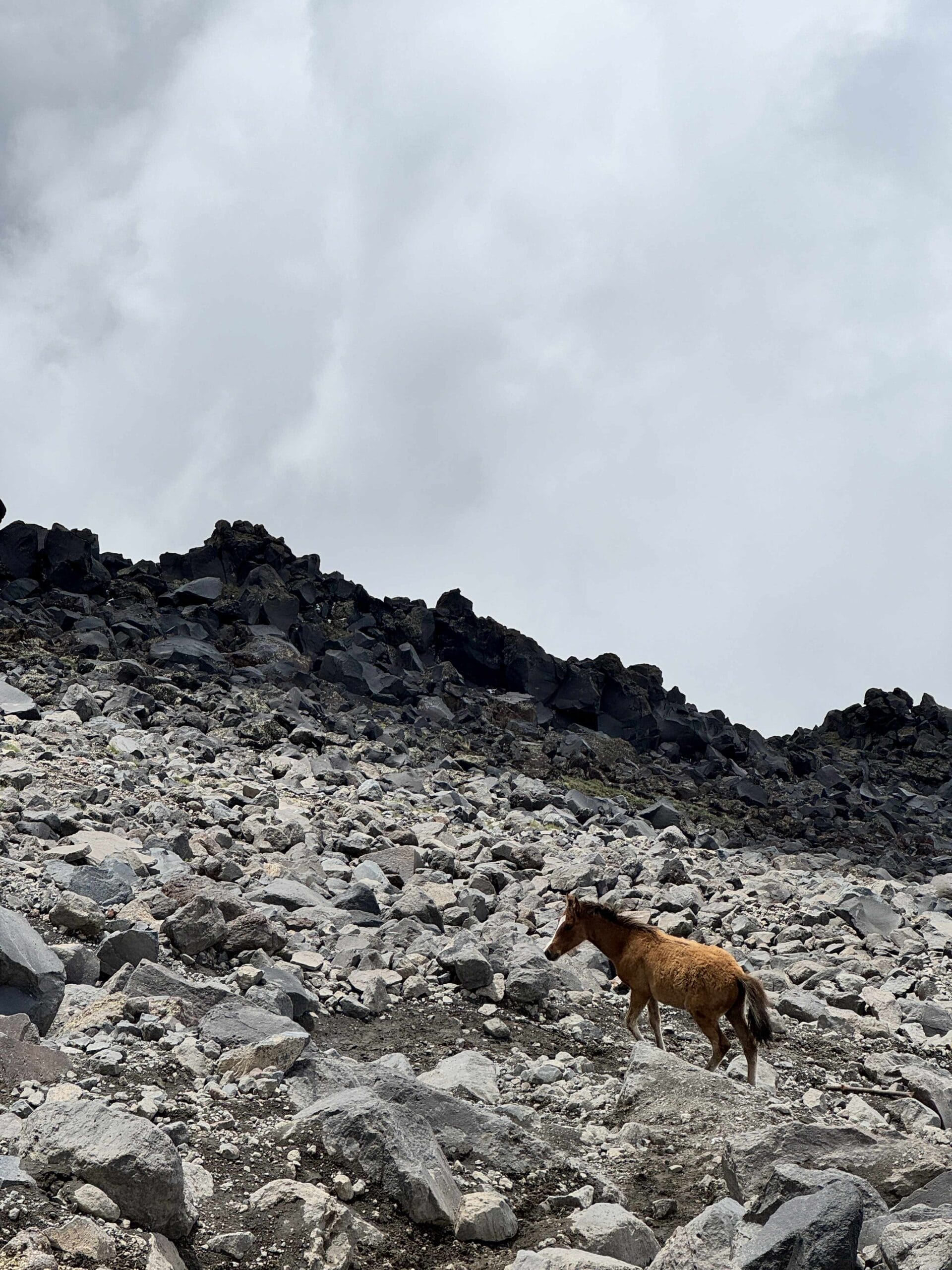 Žygis į Ararato viršūnę