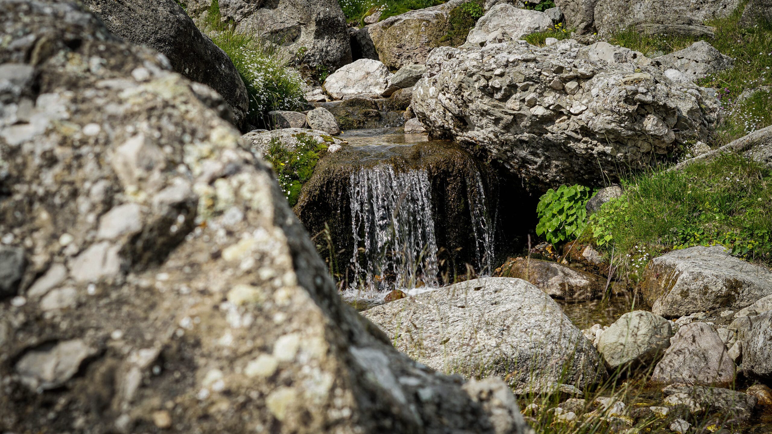 Rumunija | žygis Karpatuose