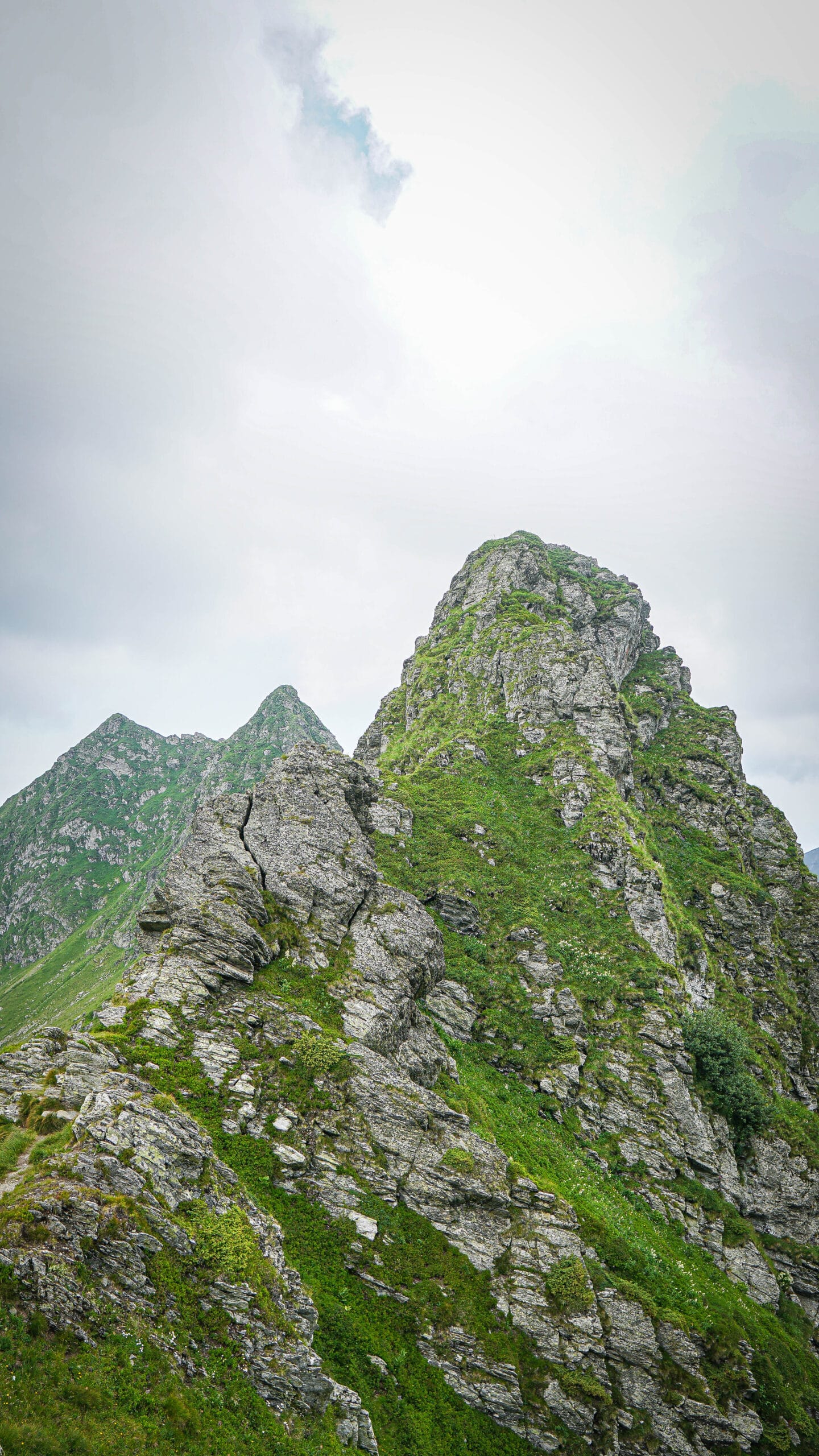 Romania | Hiking in the Carpathian mountains