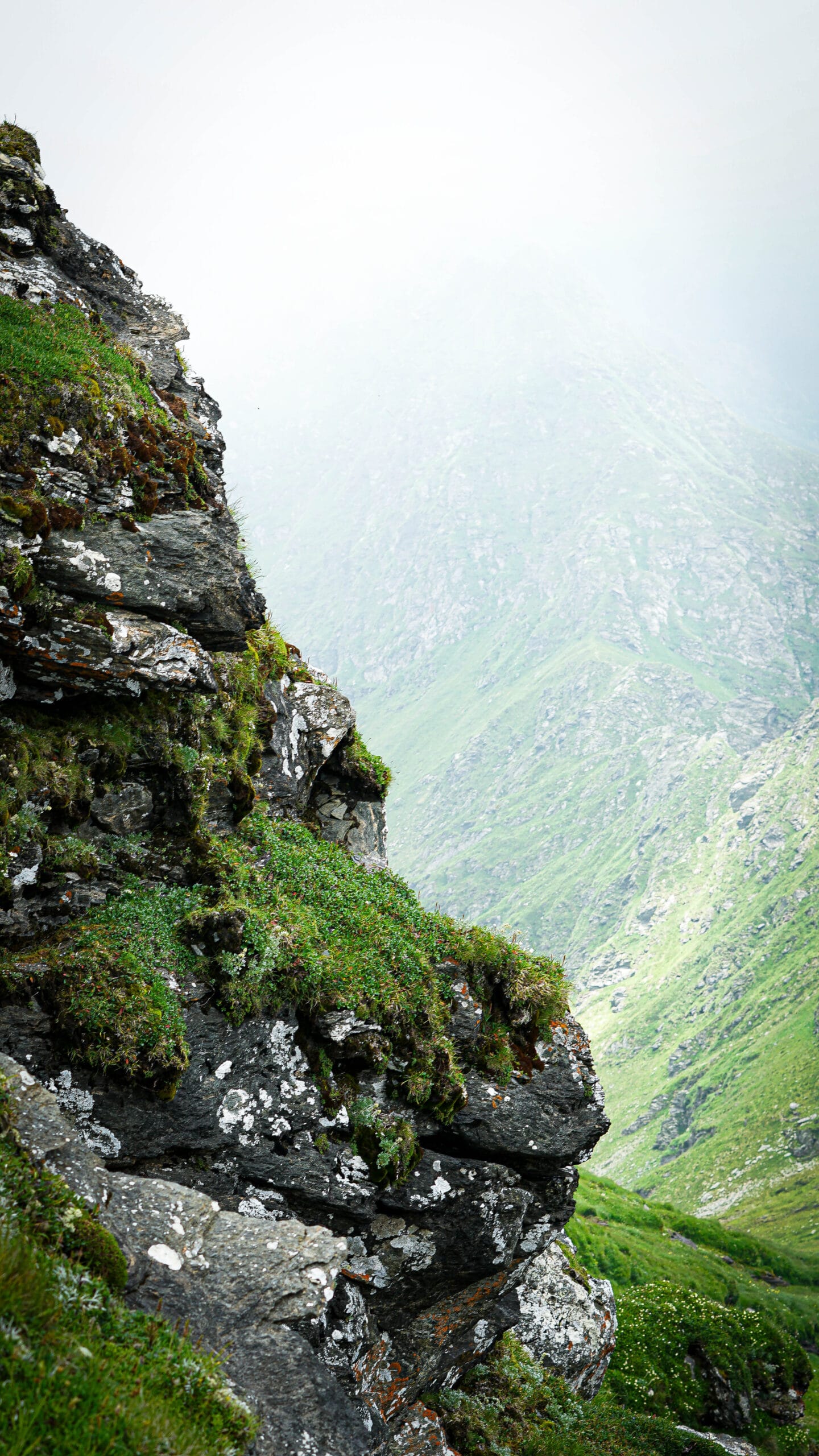 Rumunija | žygis Karpatuose