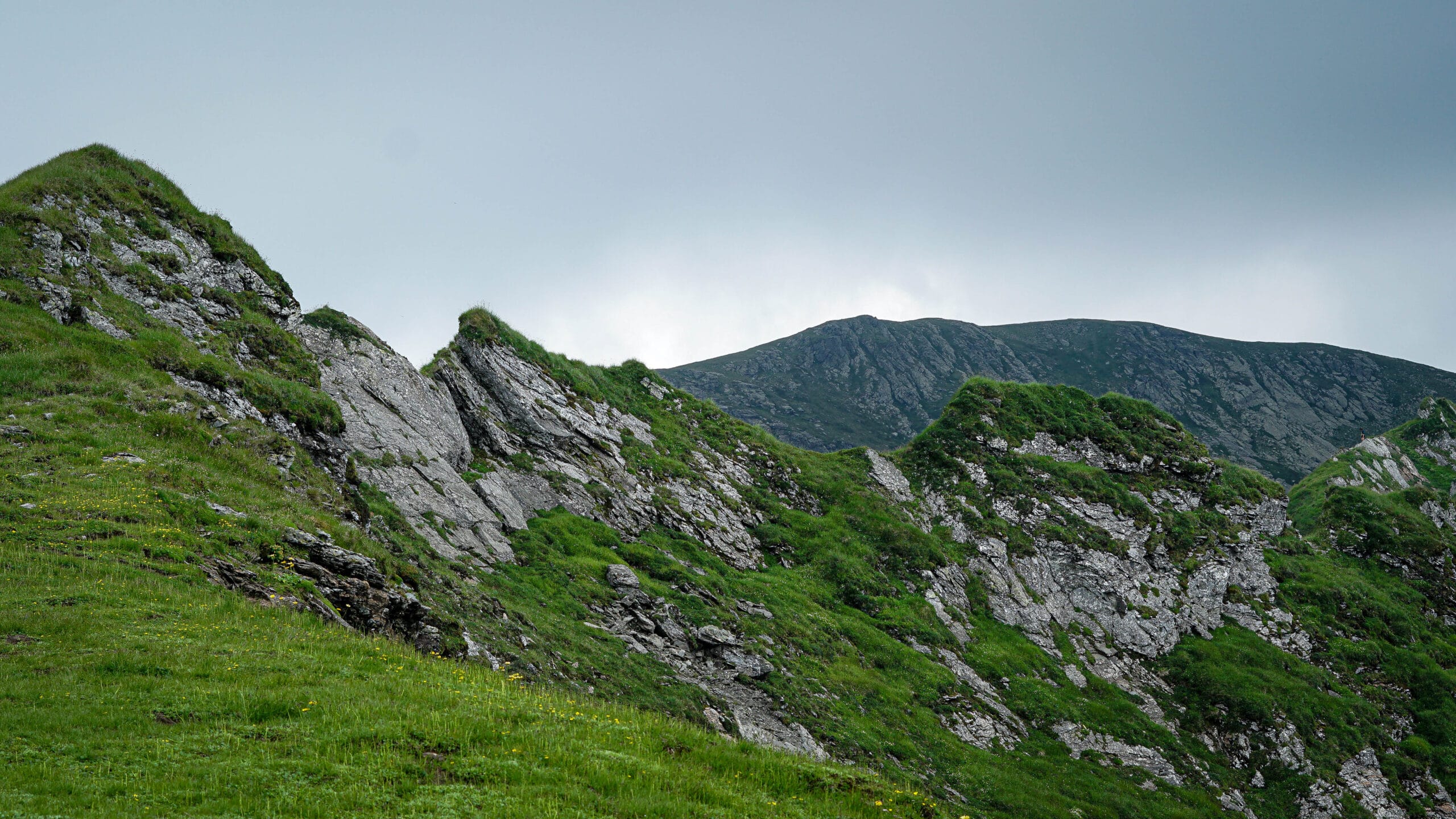 Rumunija | žygis Karpatuose