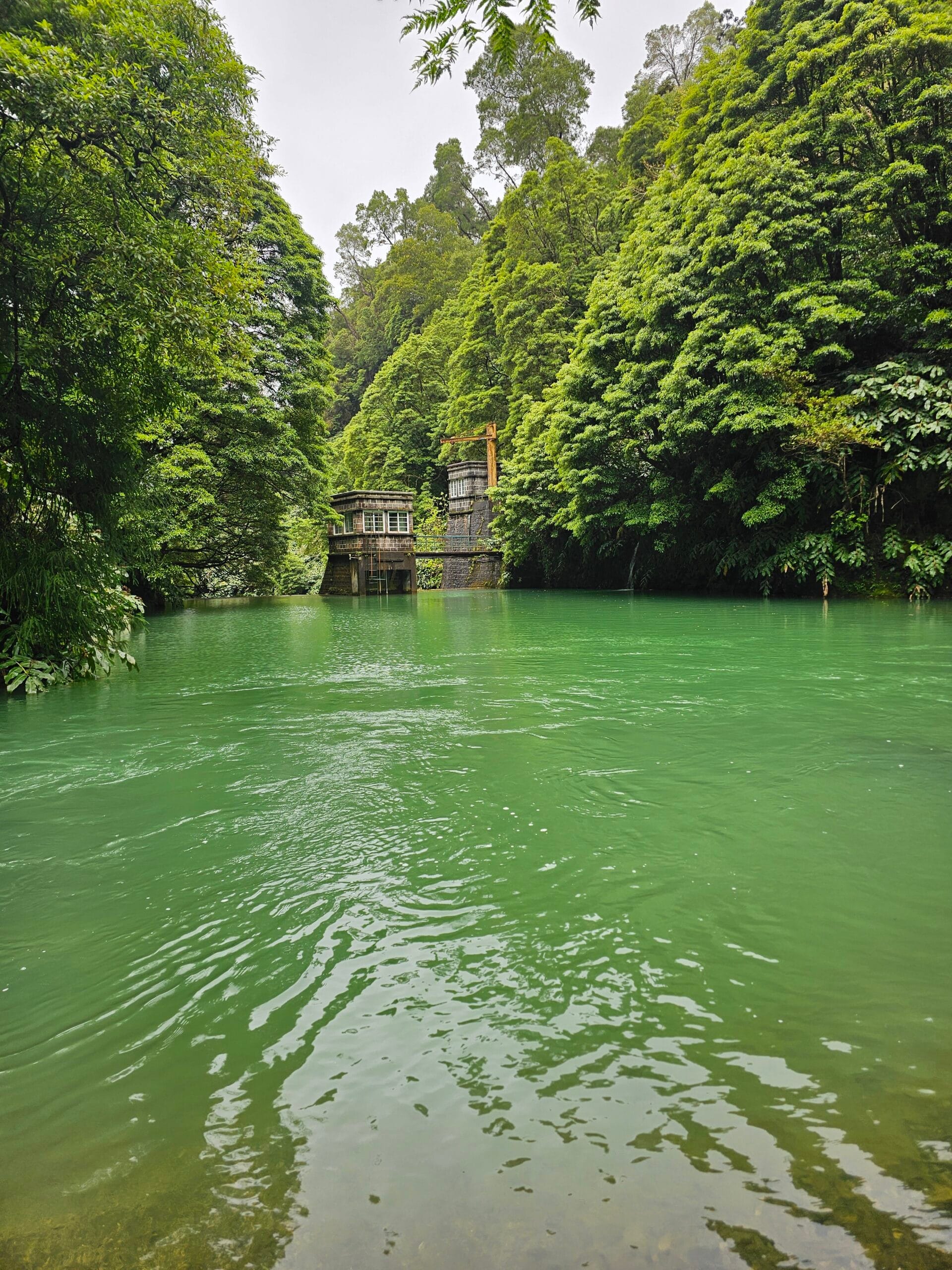 Žygis Azoruose – gamtos rojus