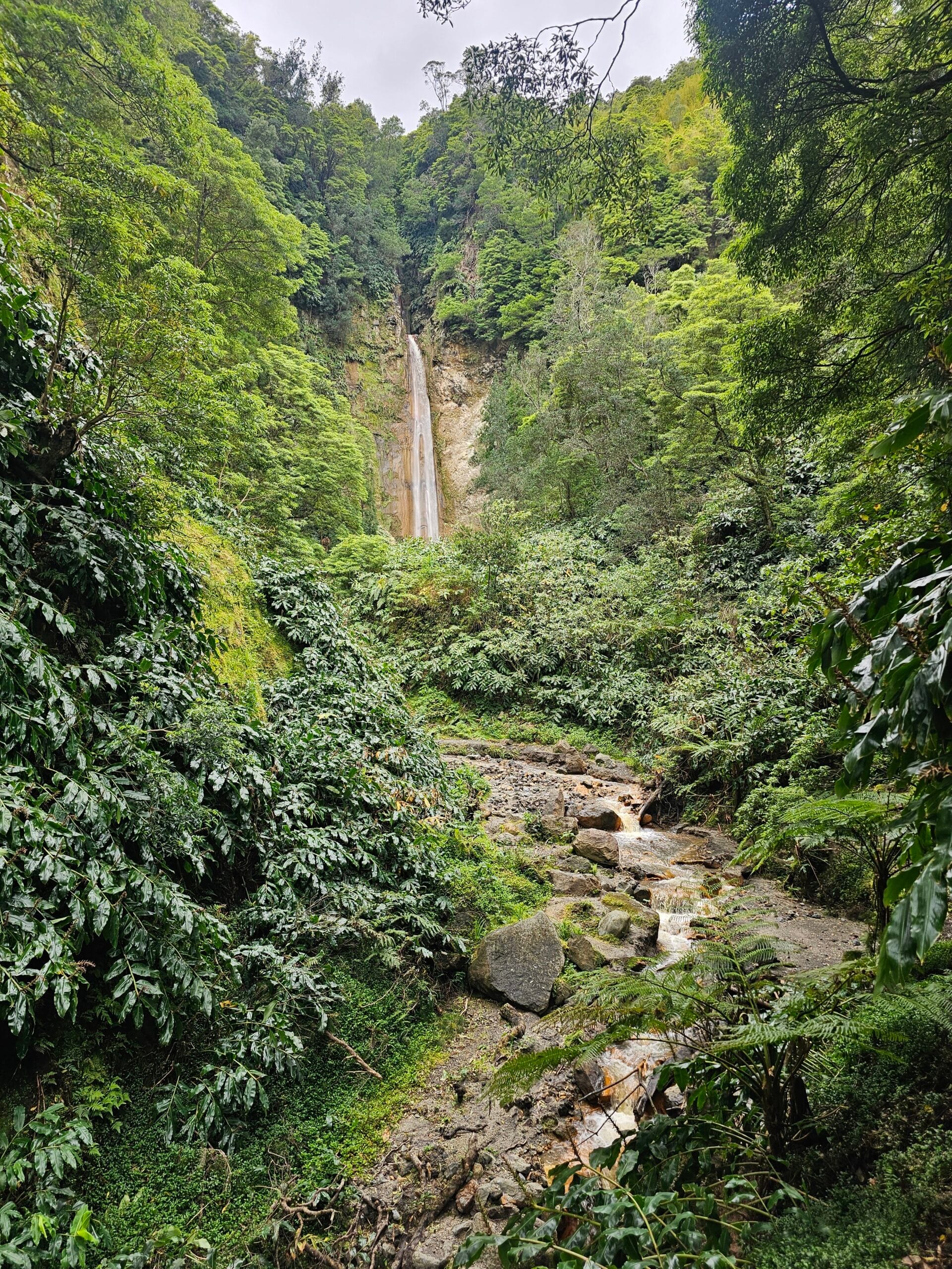 Žygis Azoruose – gamtos rojus