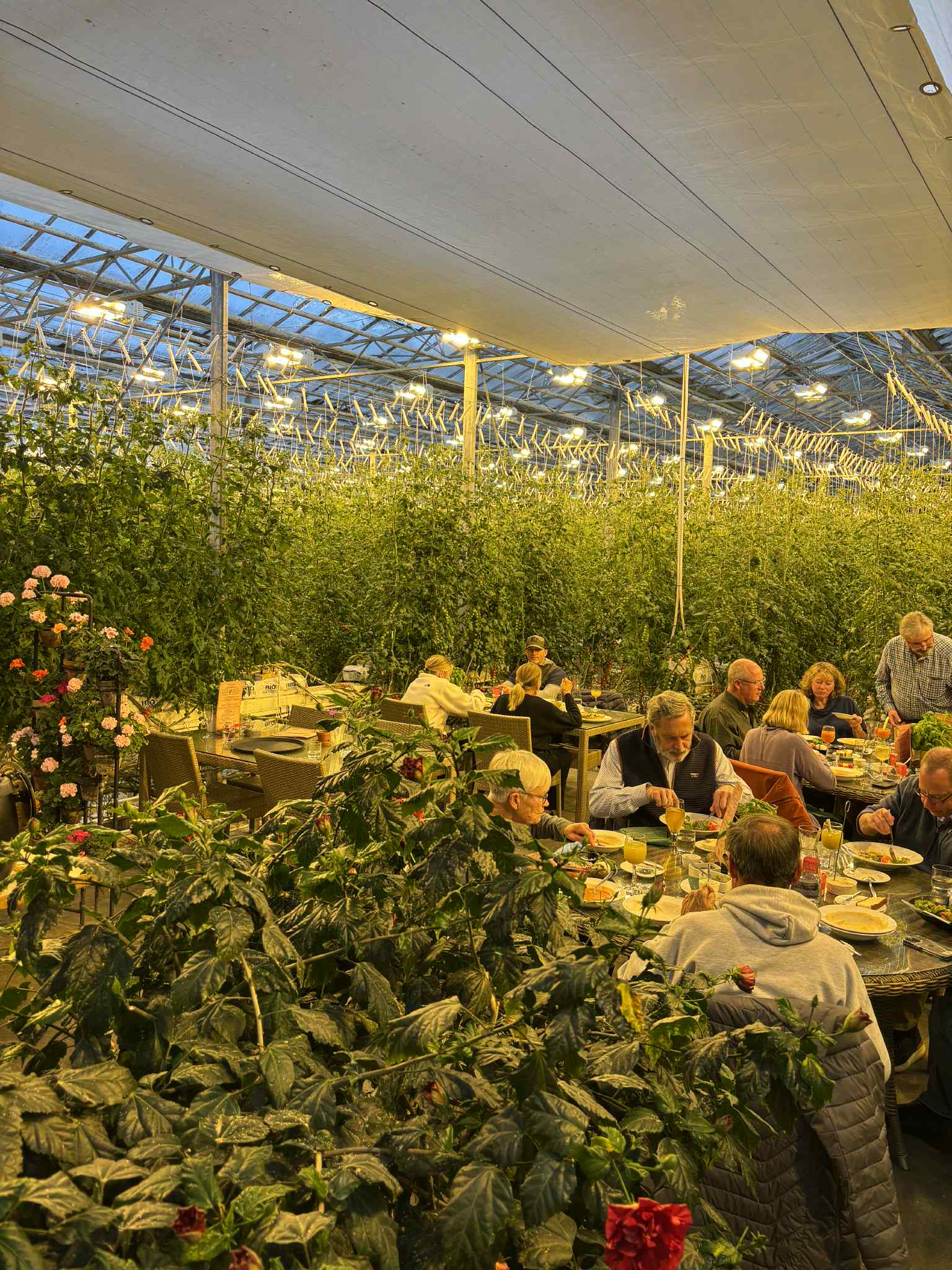 Islandijos nuotykis | ugnies ir ledo žemė