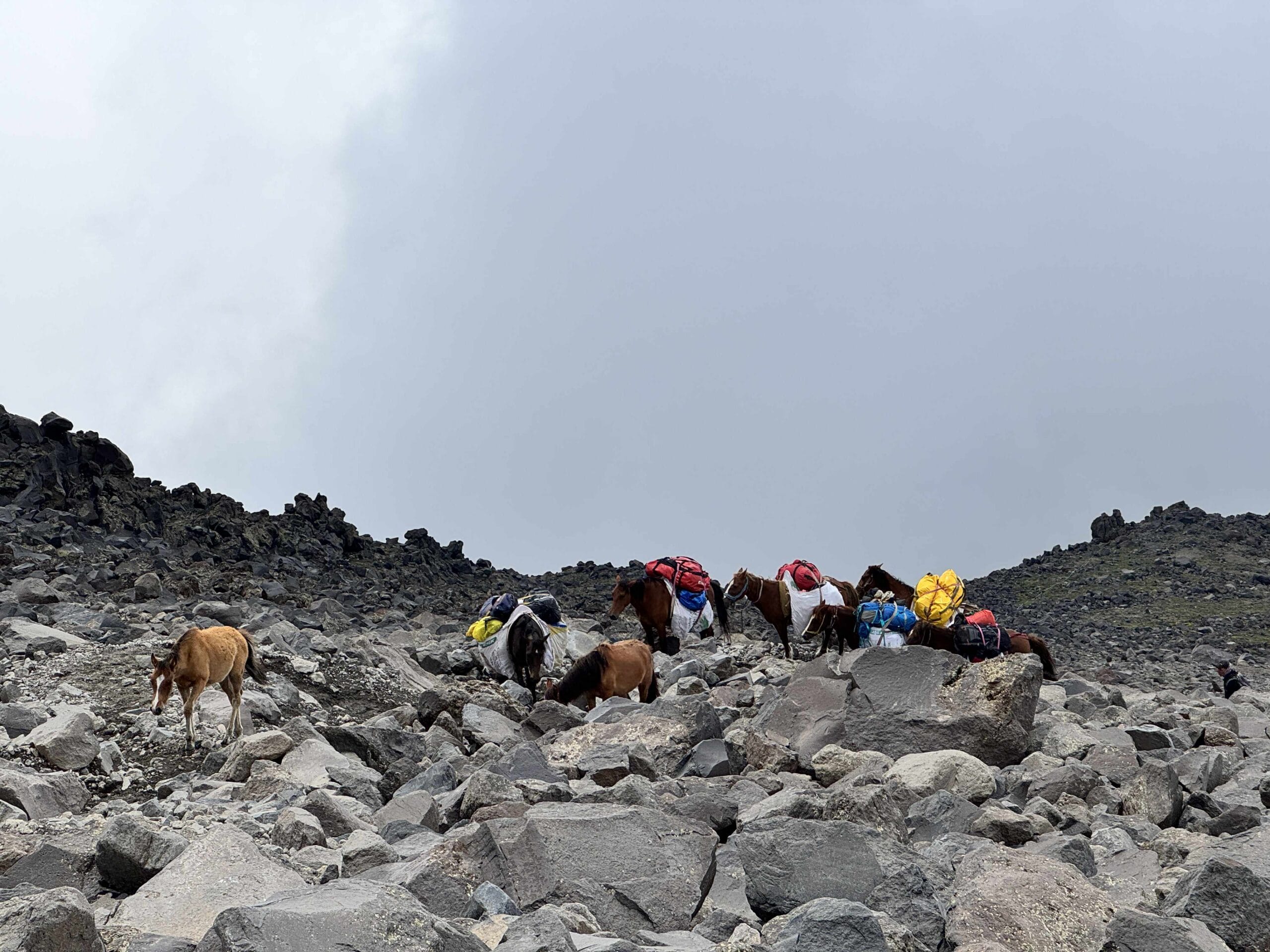 Žygis į Ararato viršūnę