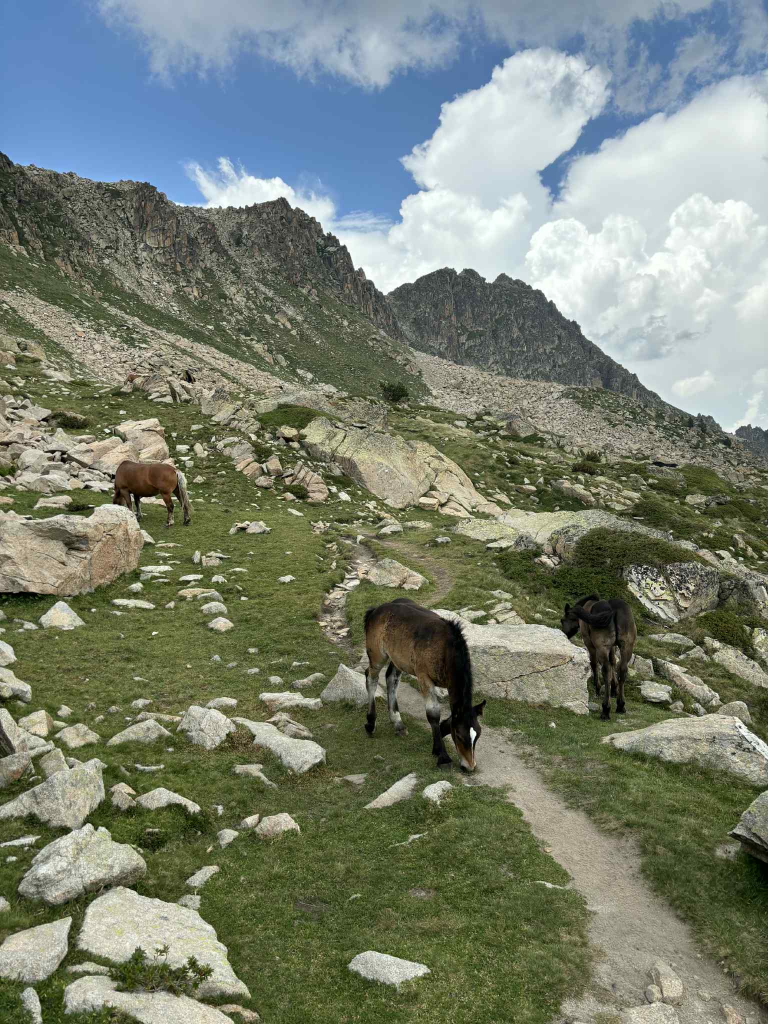 Andora – žygis Pirėnų kalnuose