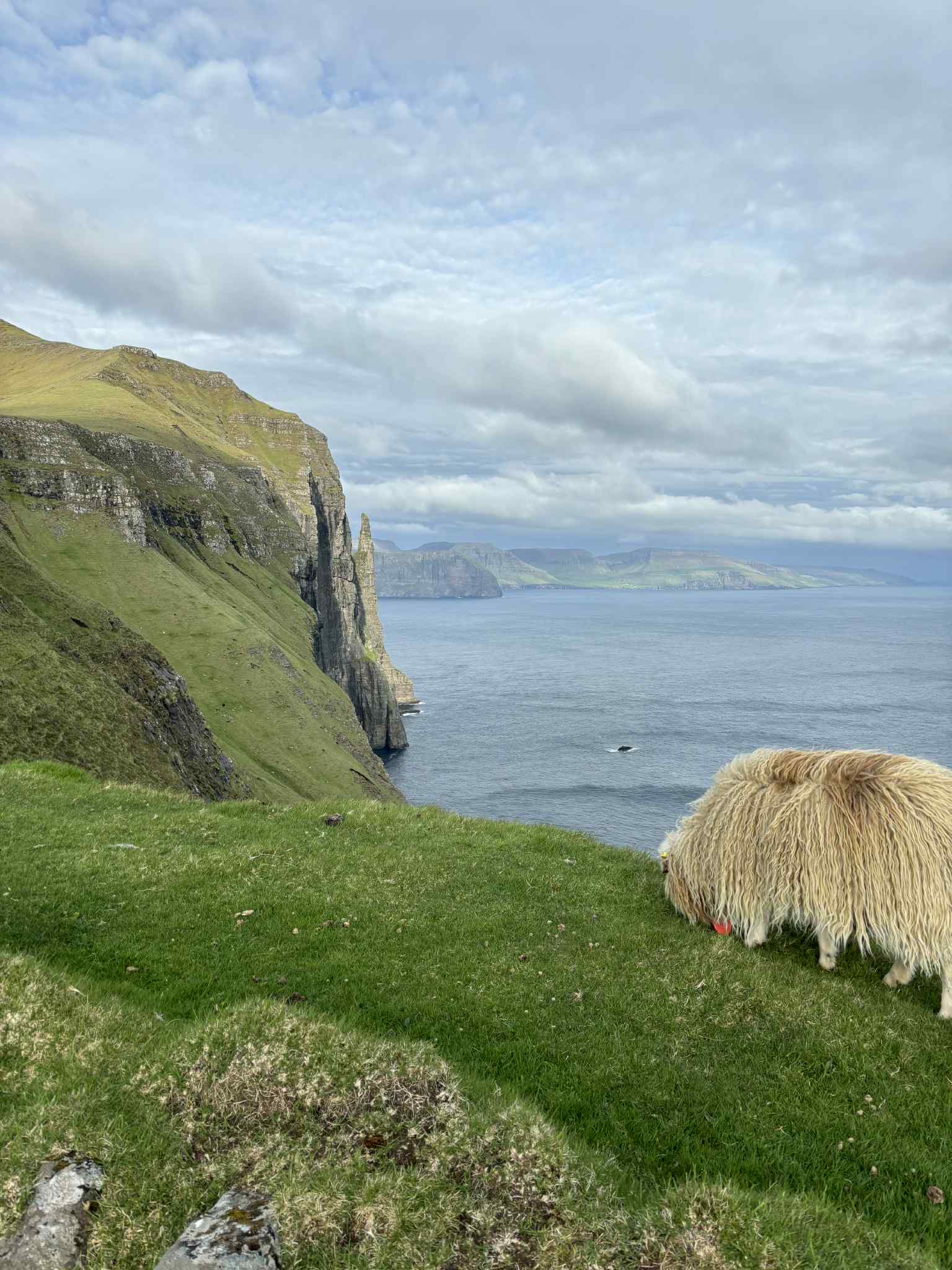 Farerų salos | žygeivių rojus