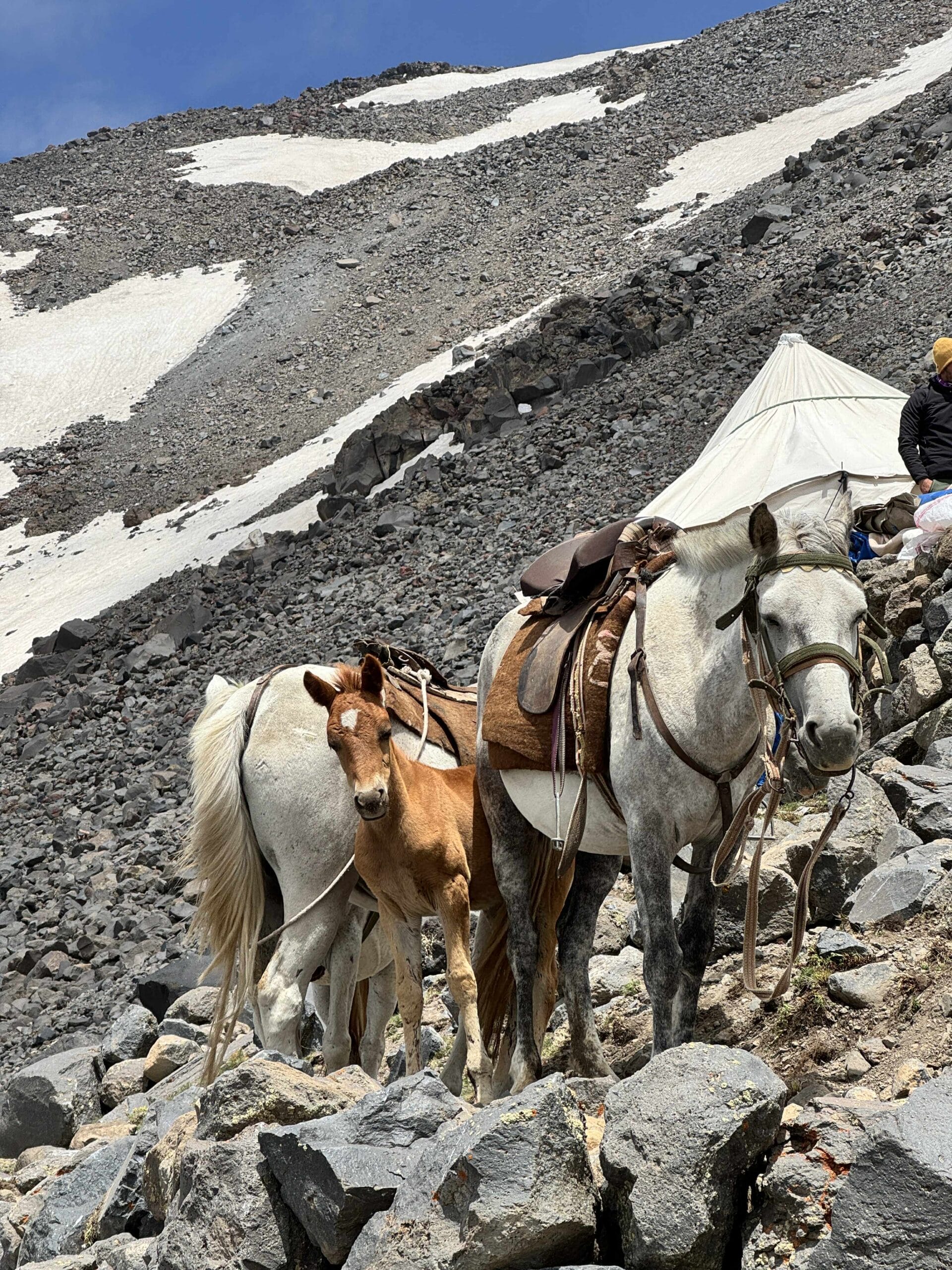 Žygis į Ararato viršūnę