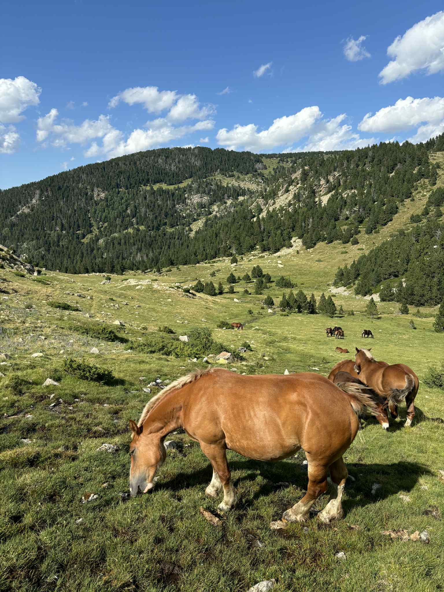 Andora – žygis Pirėnų kalnuose