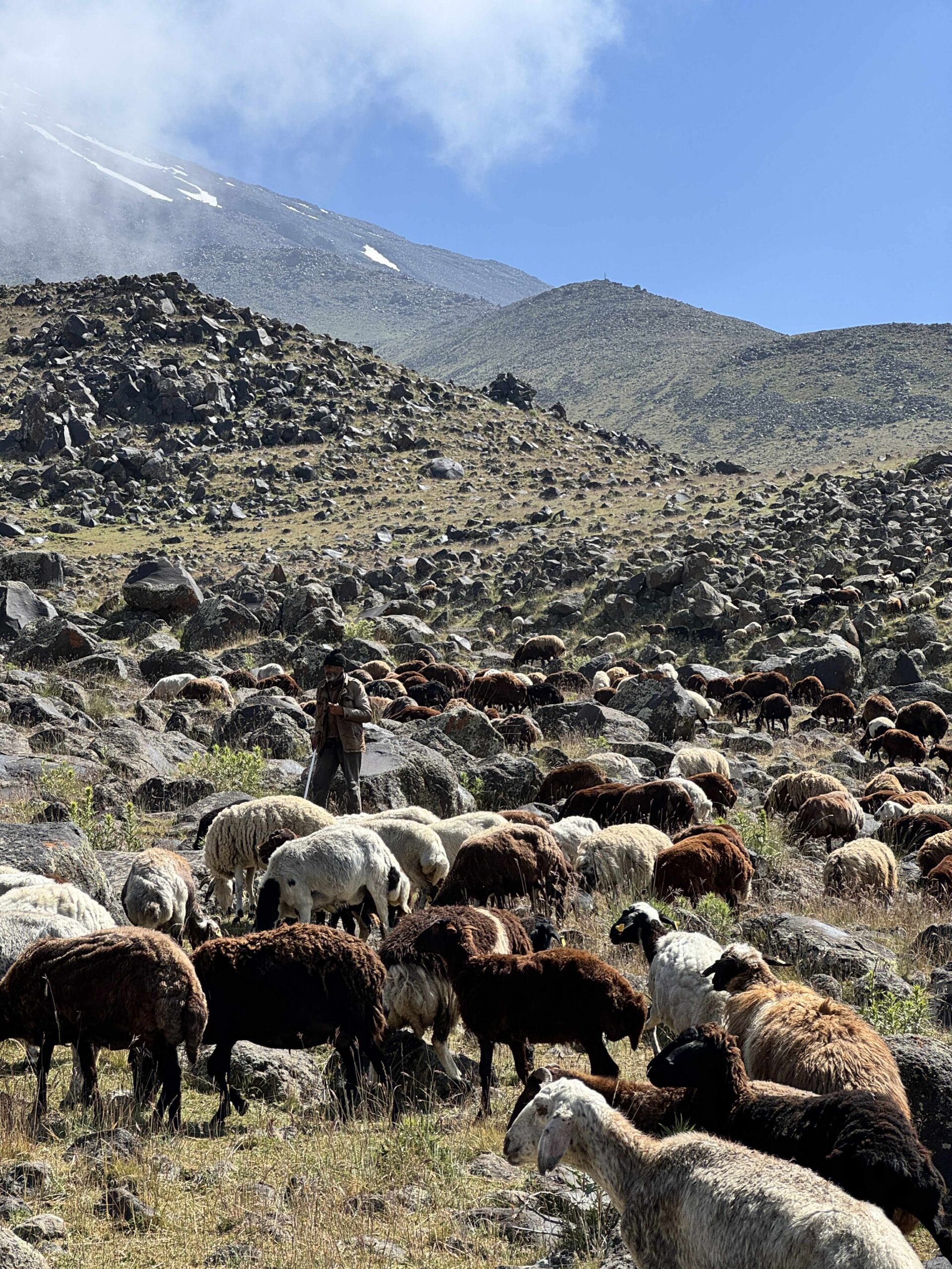 Žygis į Ararato viršūnę