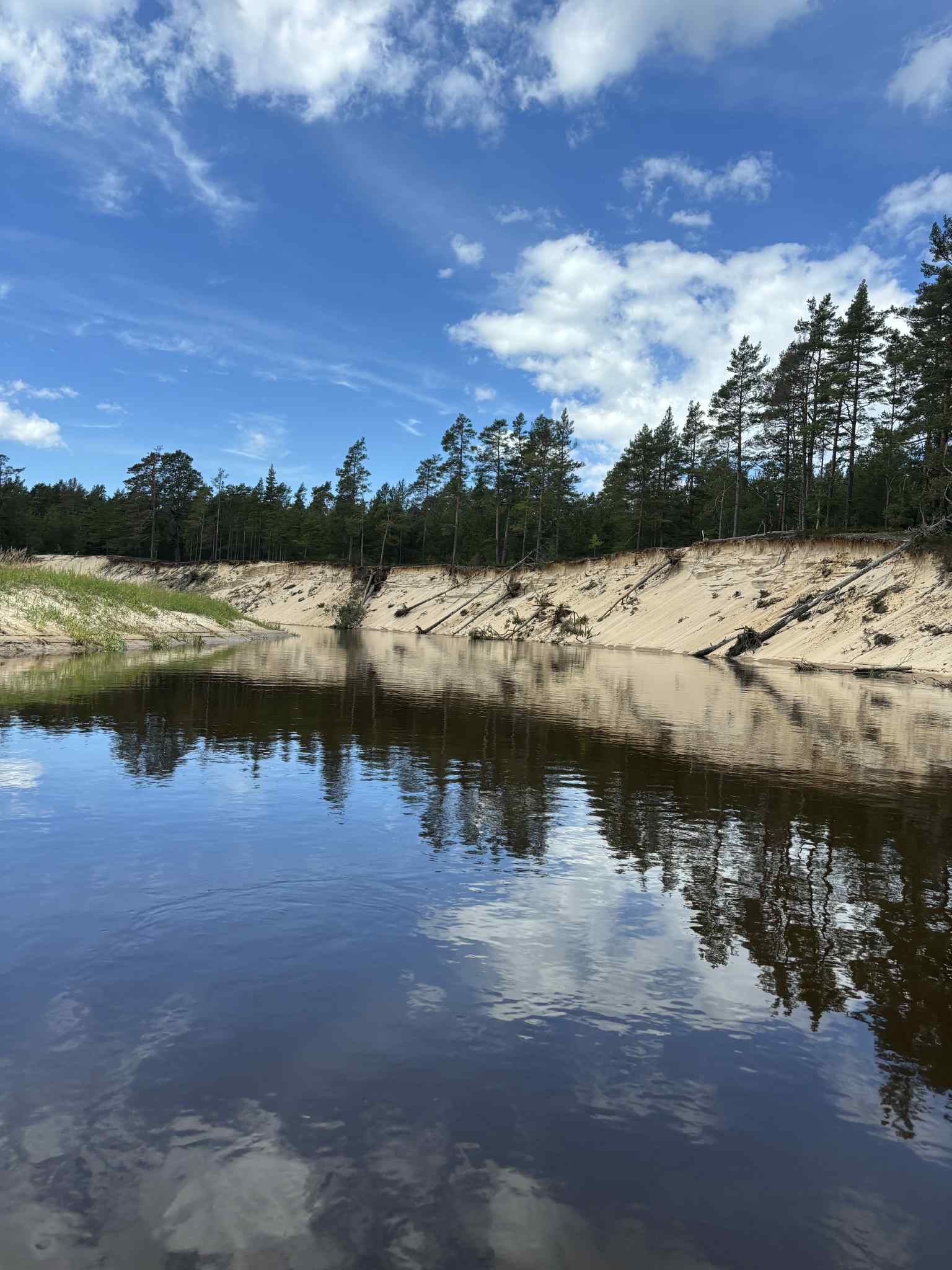Latvija | plaukimas Irbės upe