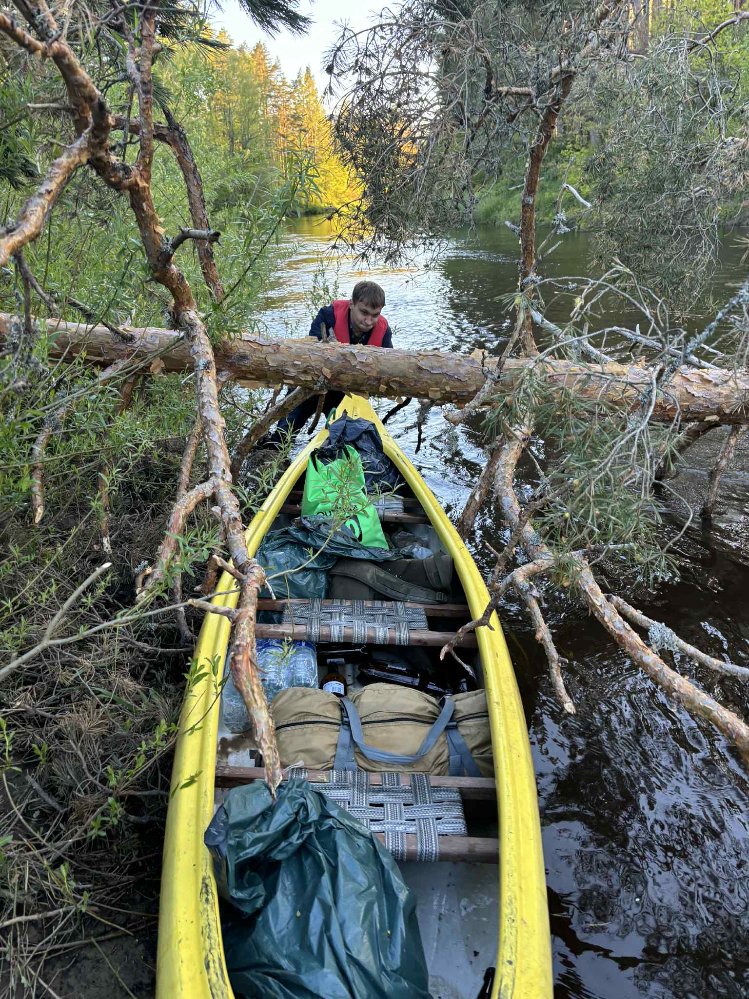 Latvija | plaukimas Irbės upe