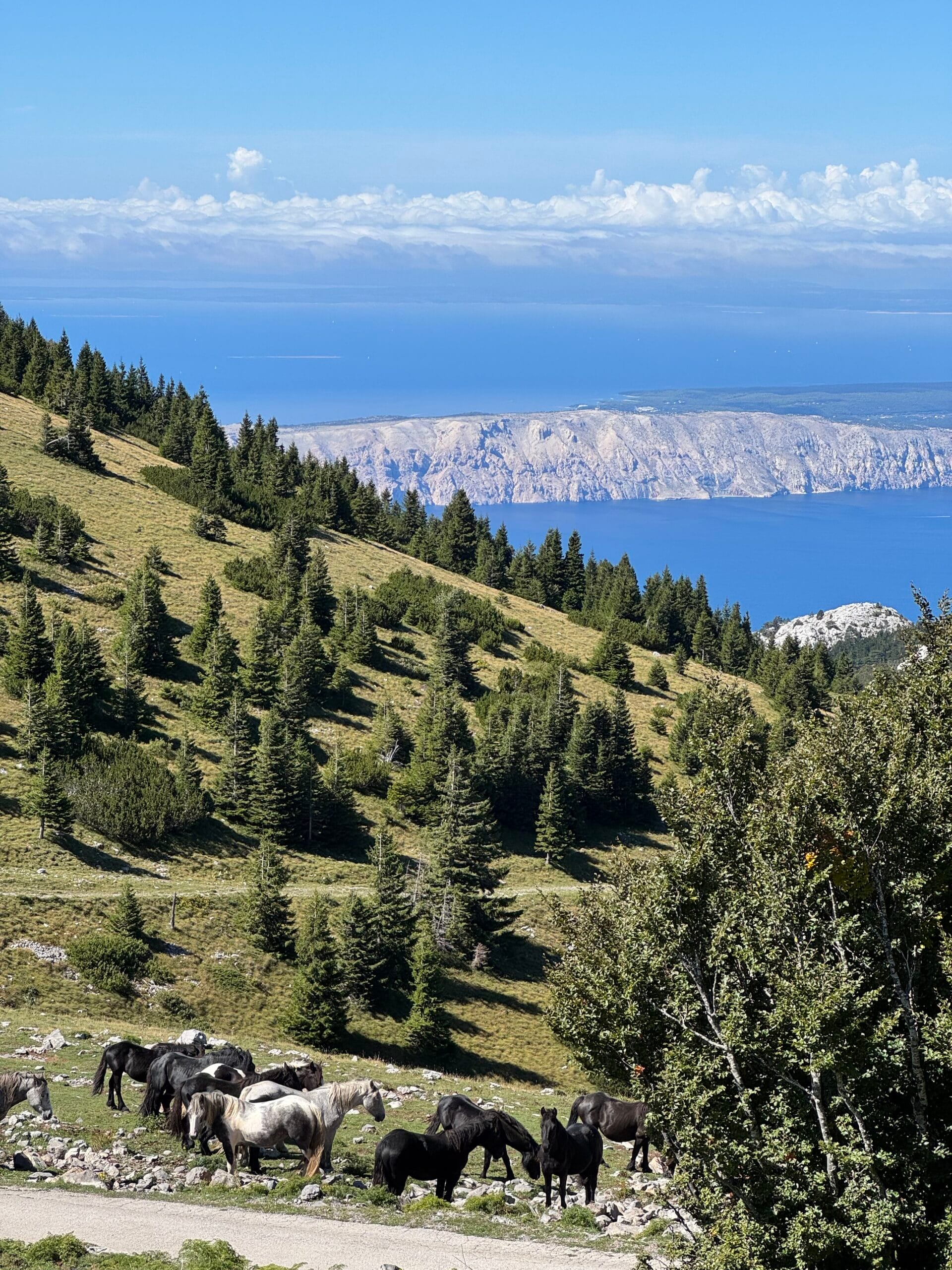 Croatia – kayaking and hiking