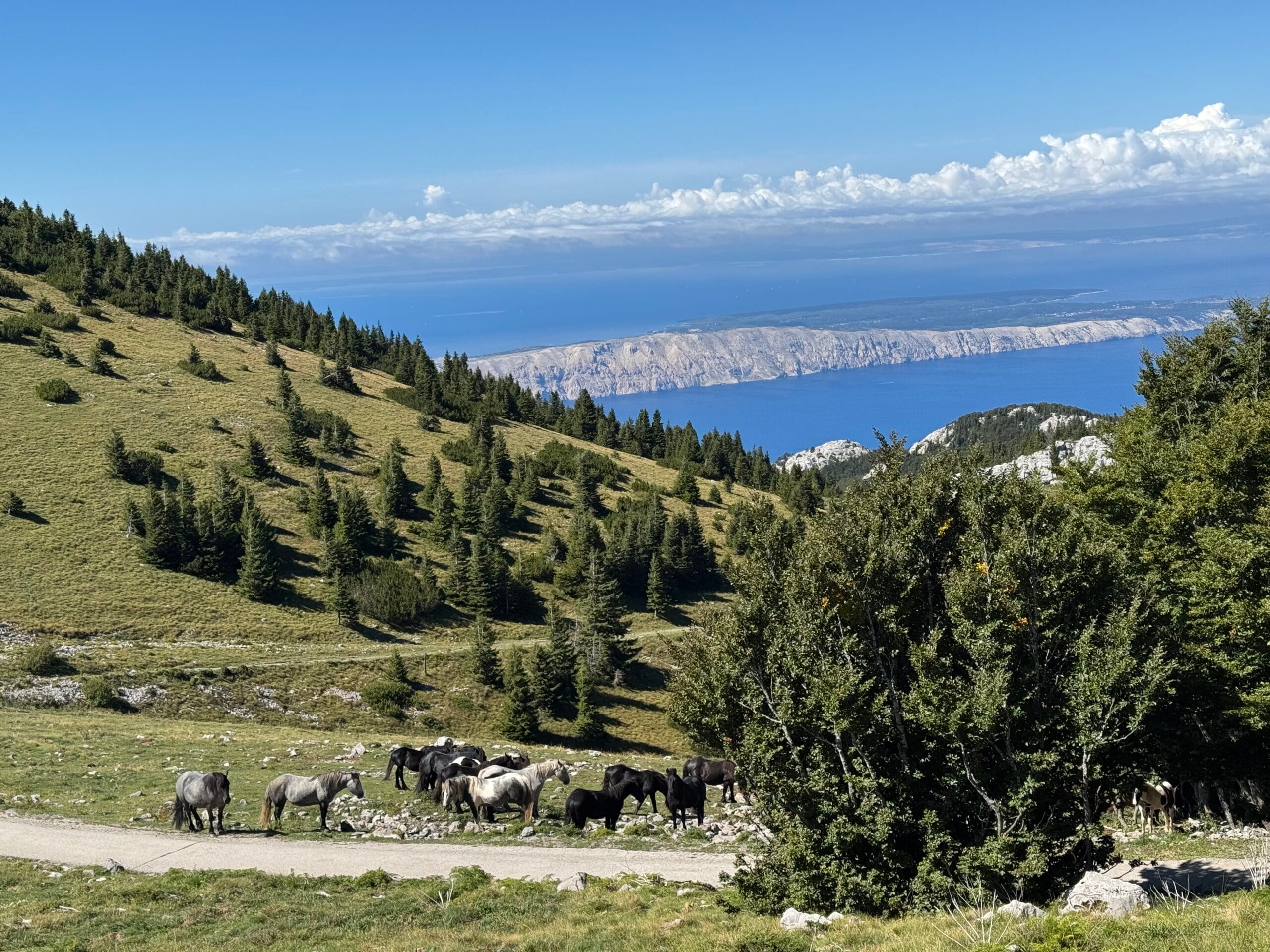 Kroatija – baidarės ir žygiai kalnuose