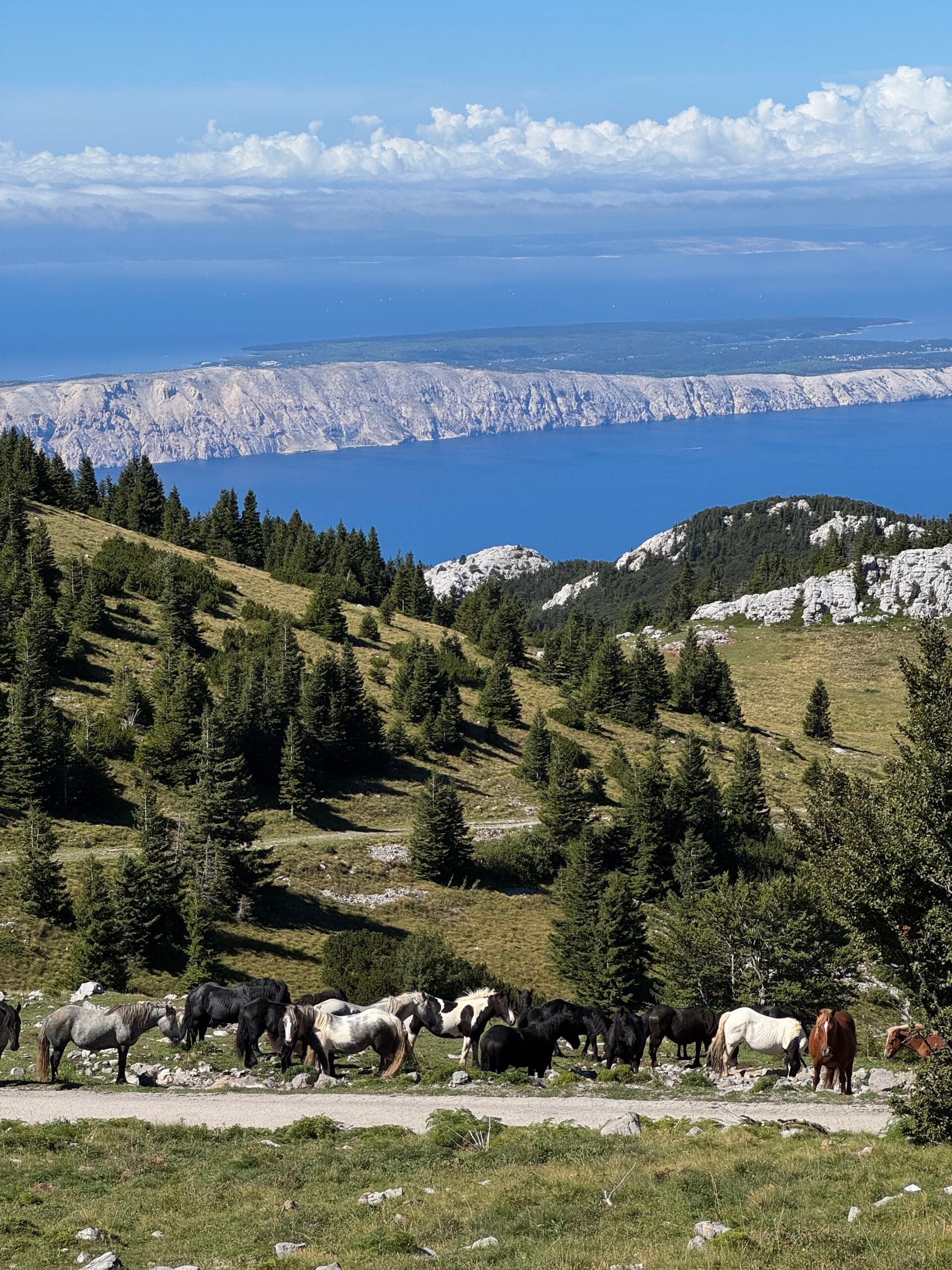 Kroatija – baidarės ir žygiai kalnuose