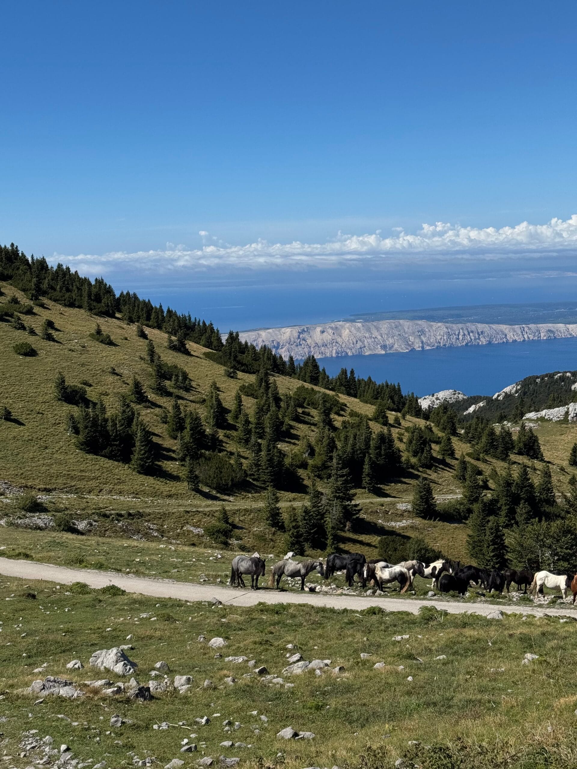 Croatia – kayaking and hiking