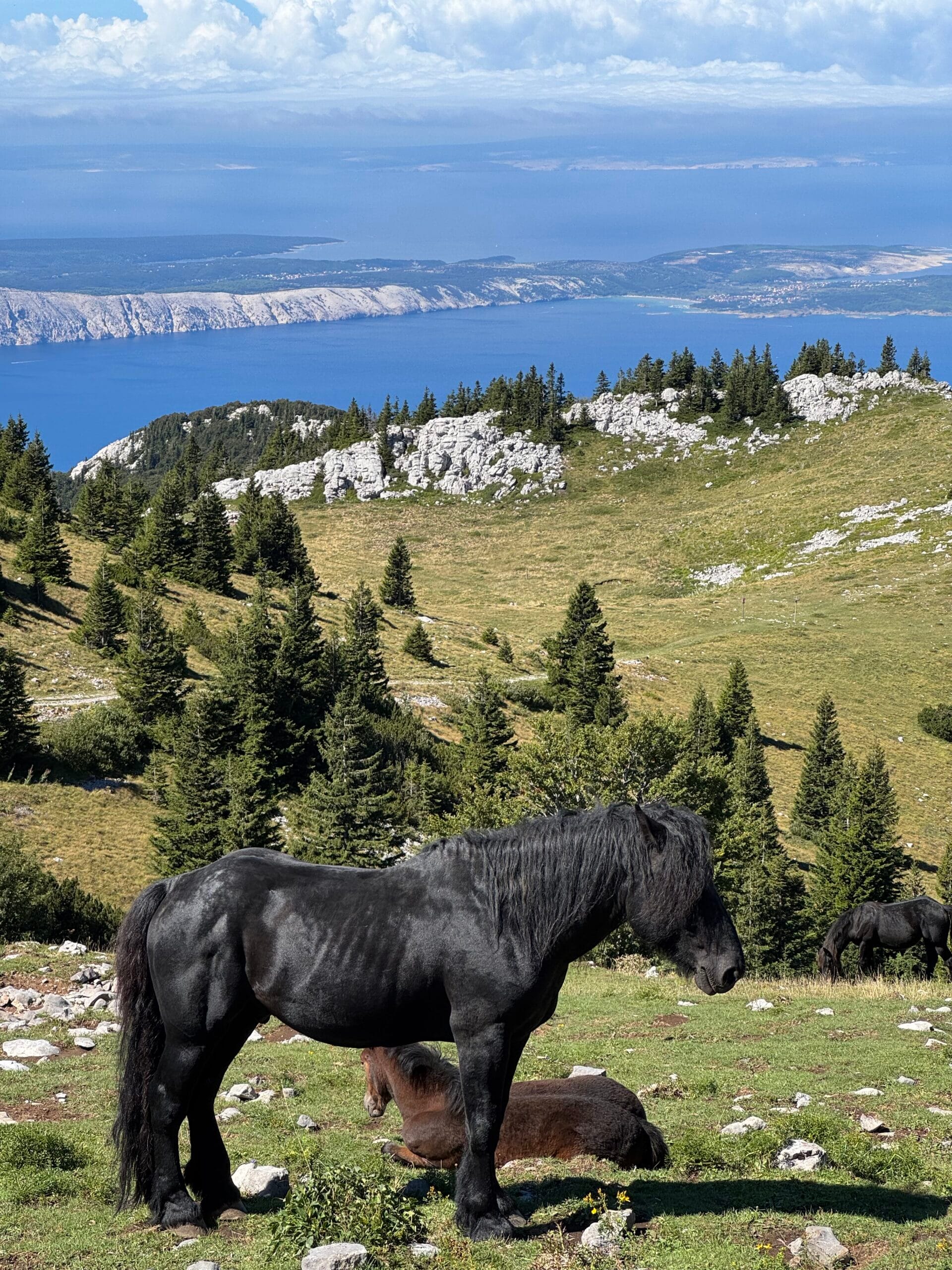 Croatia – kayaking and hiking