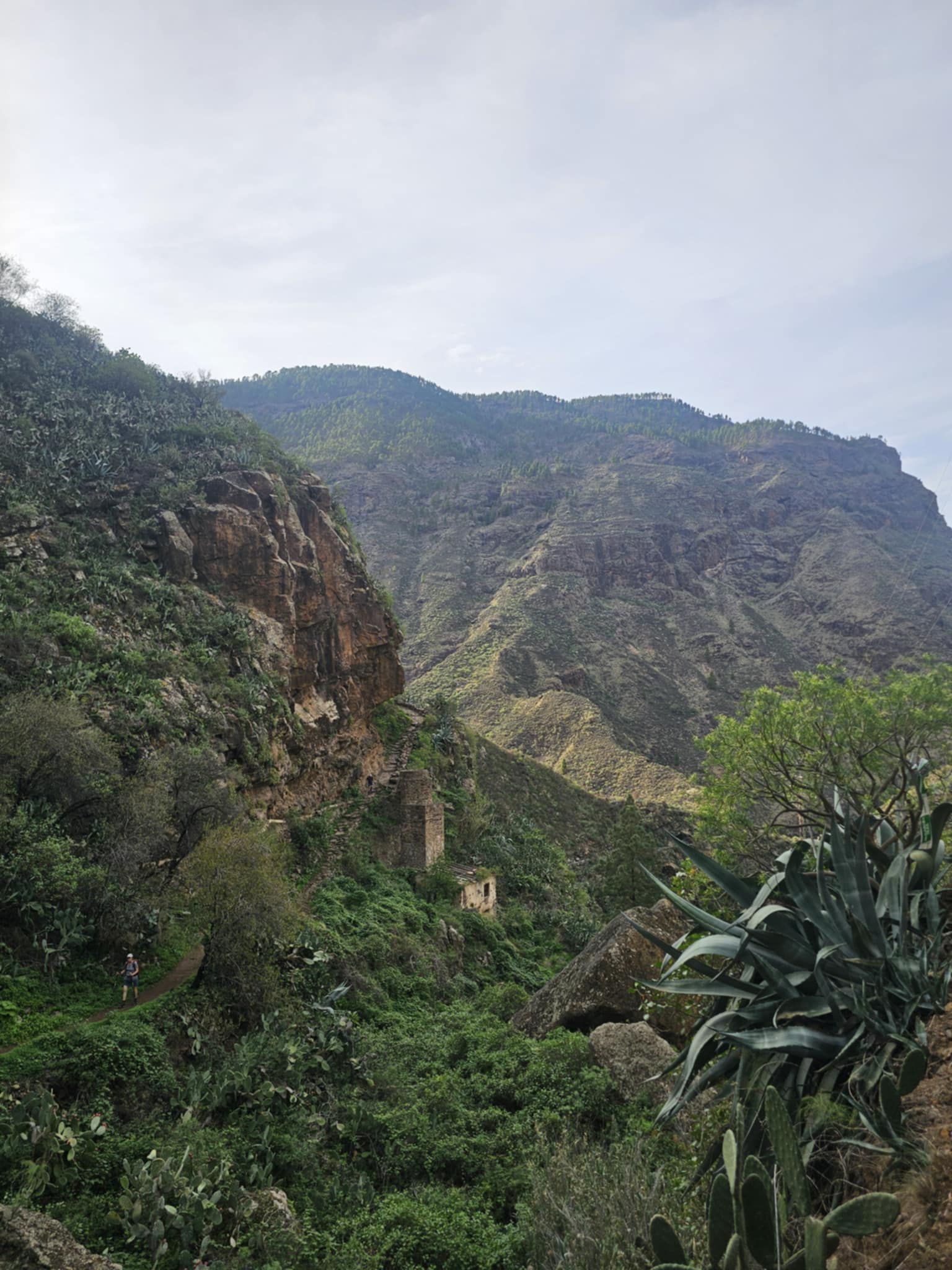 Gran Kanarija aktyviai