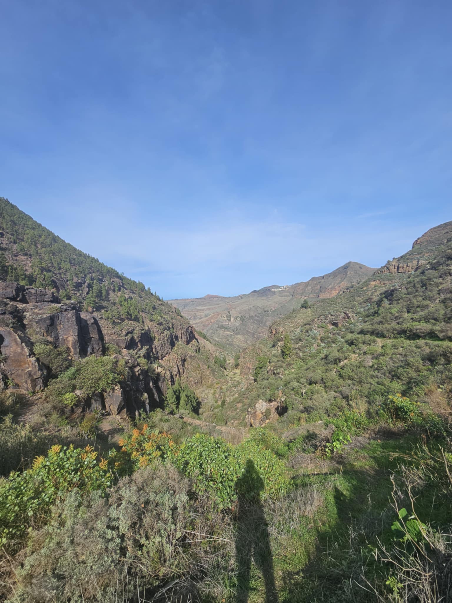 Gran Kanarija aktyviai