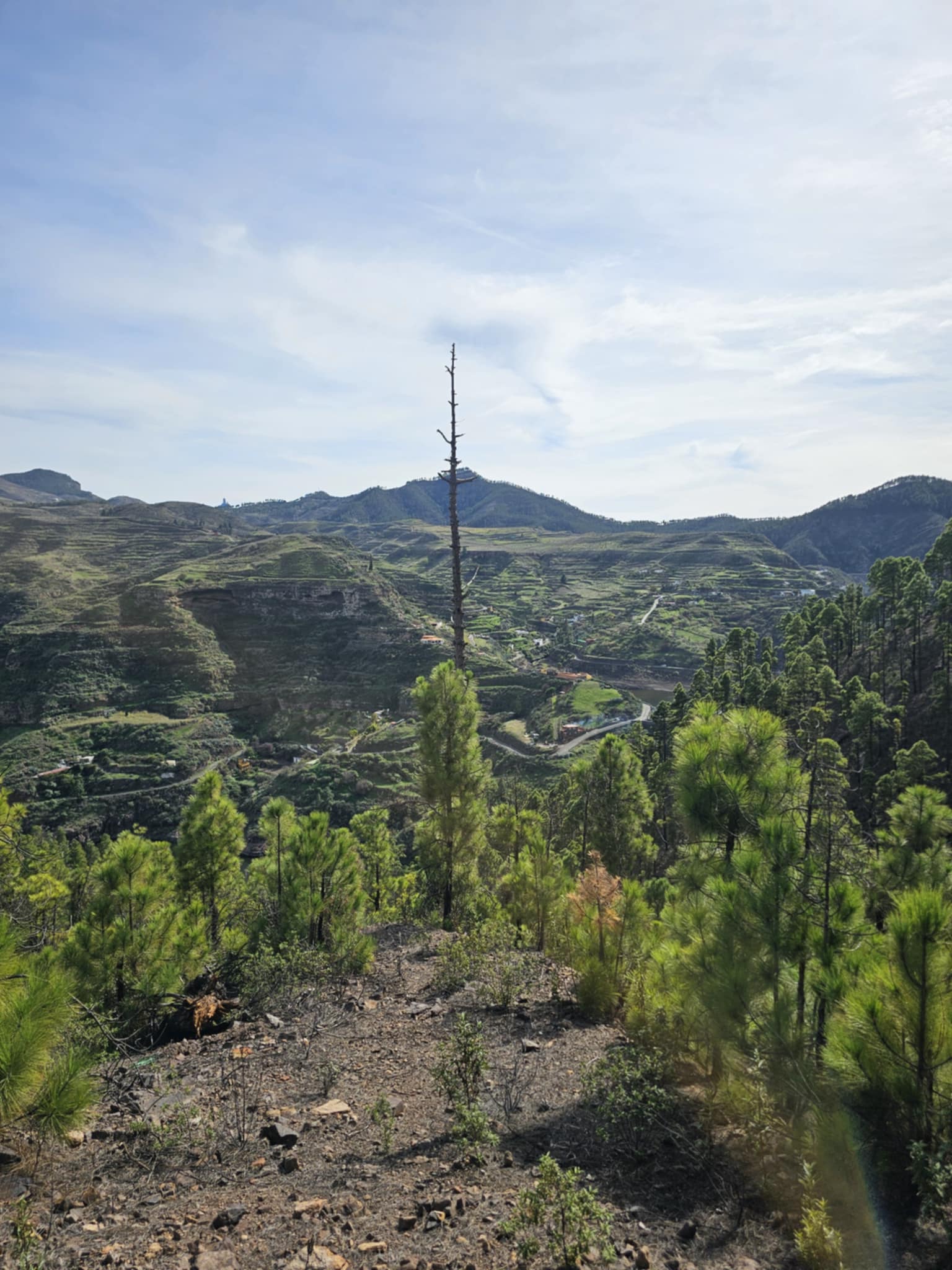 Gran Kanarija aktyviai