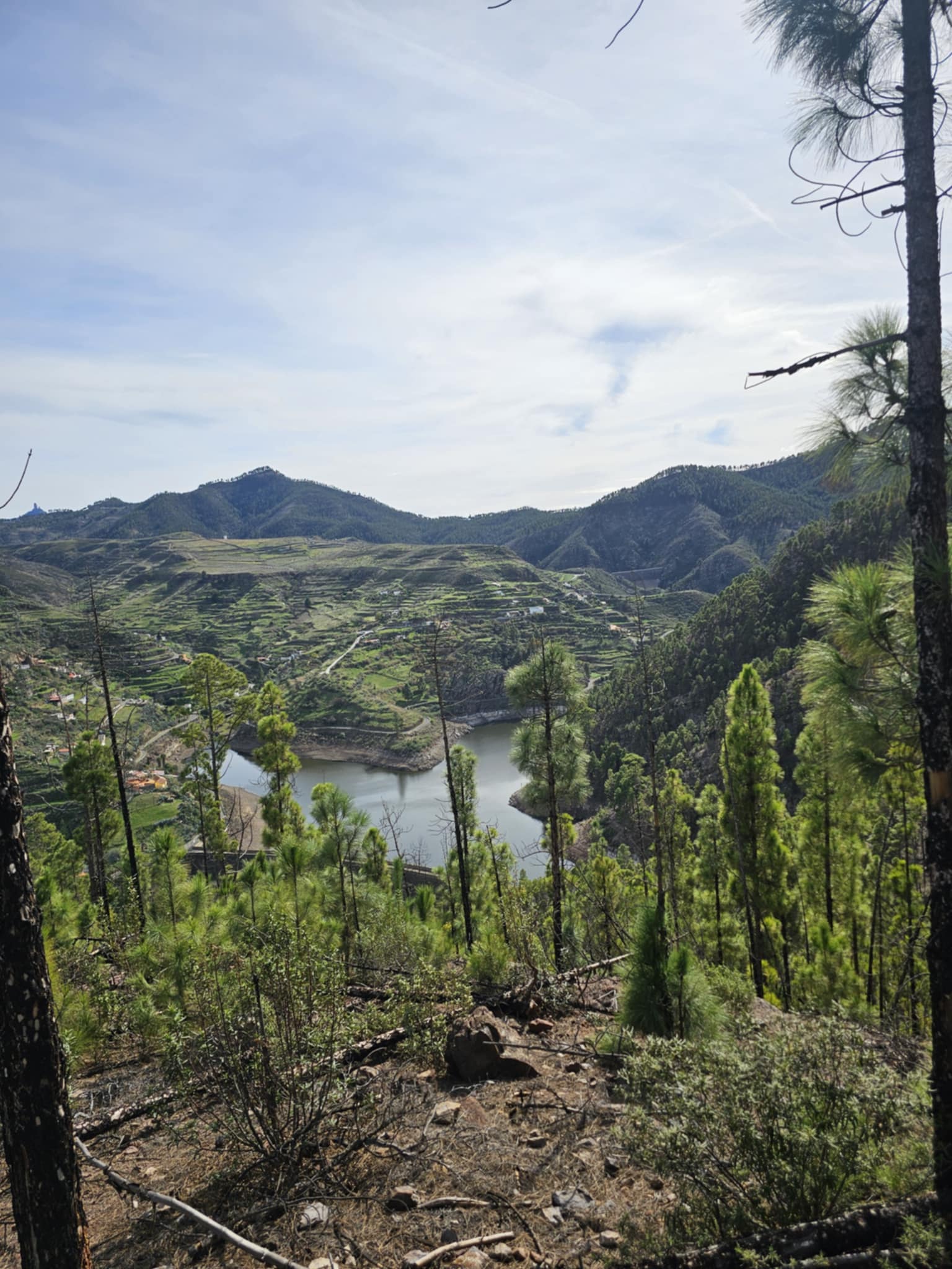 Gran Kanarija aktyviai